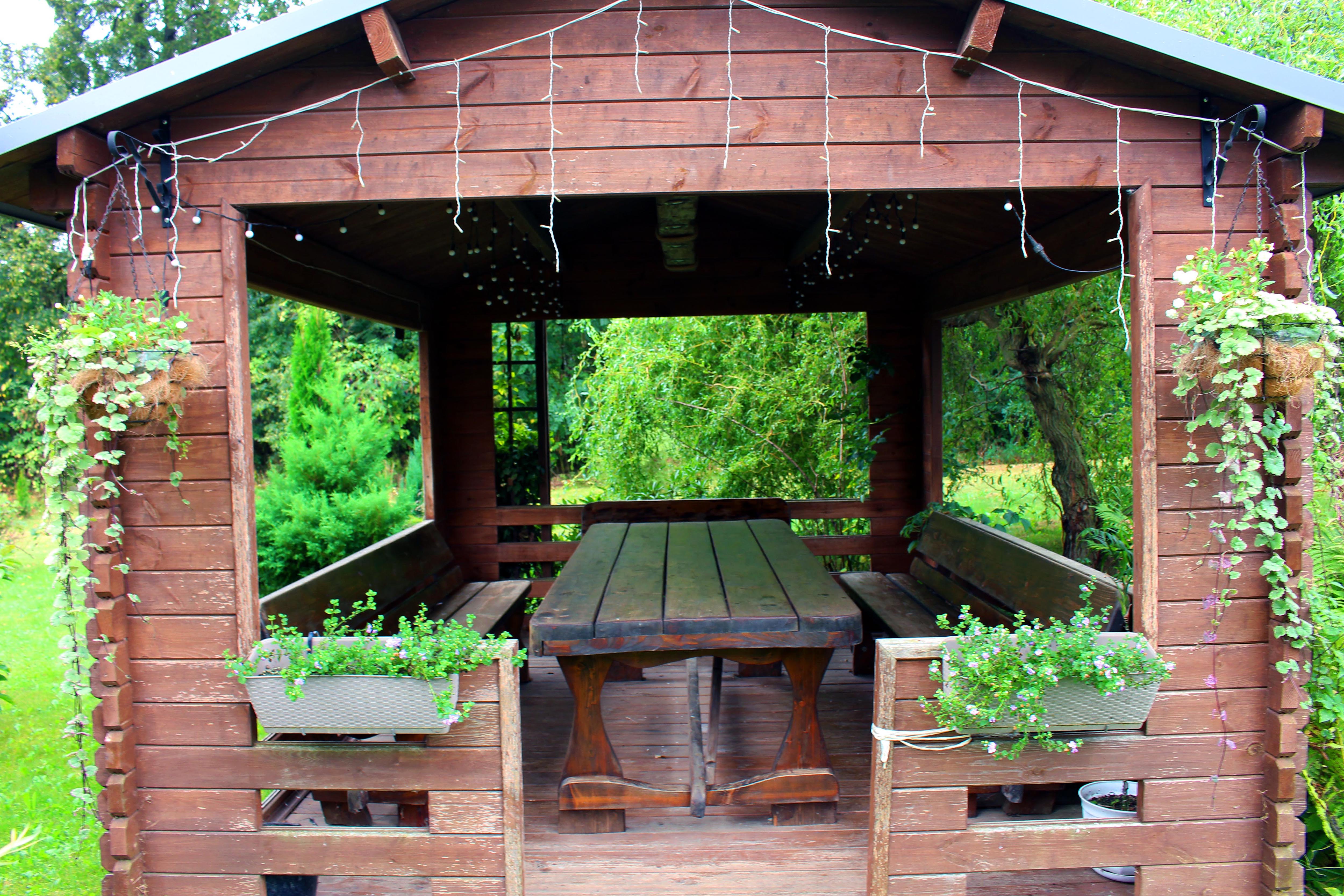 Фото Агроусадьба Ольхово