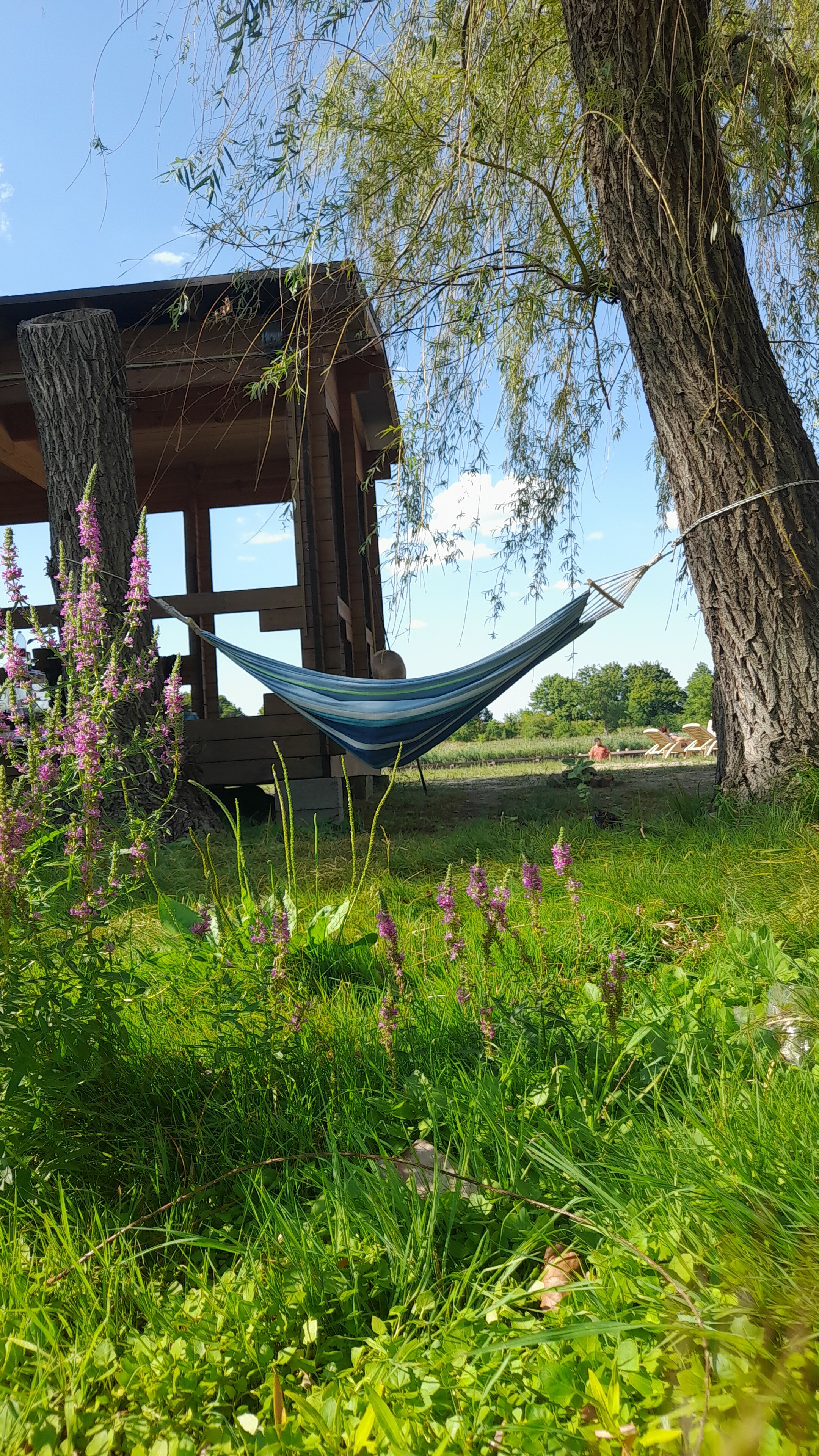 Фото Карасёвка