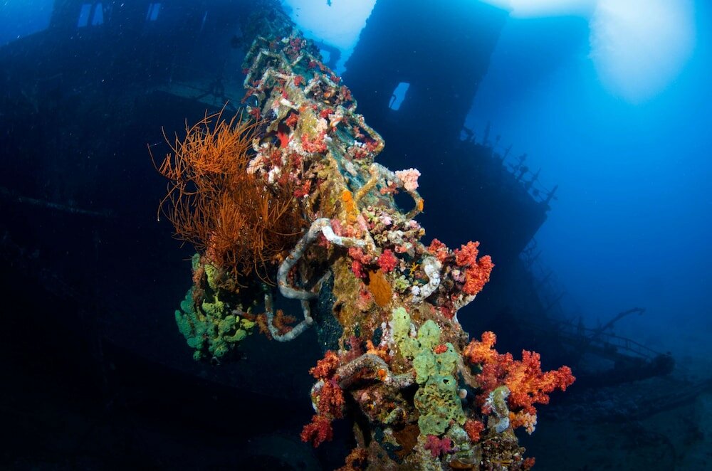 Фото Captain's Inn