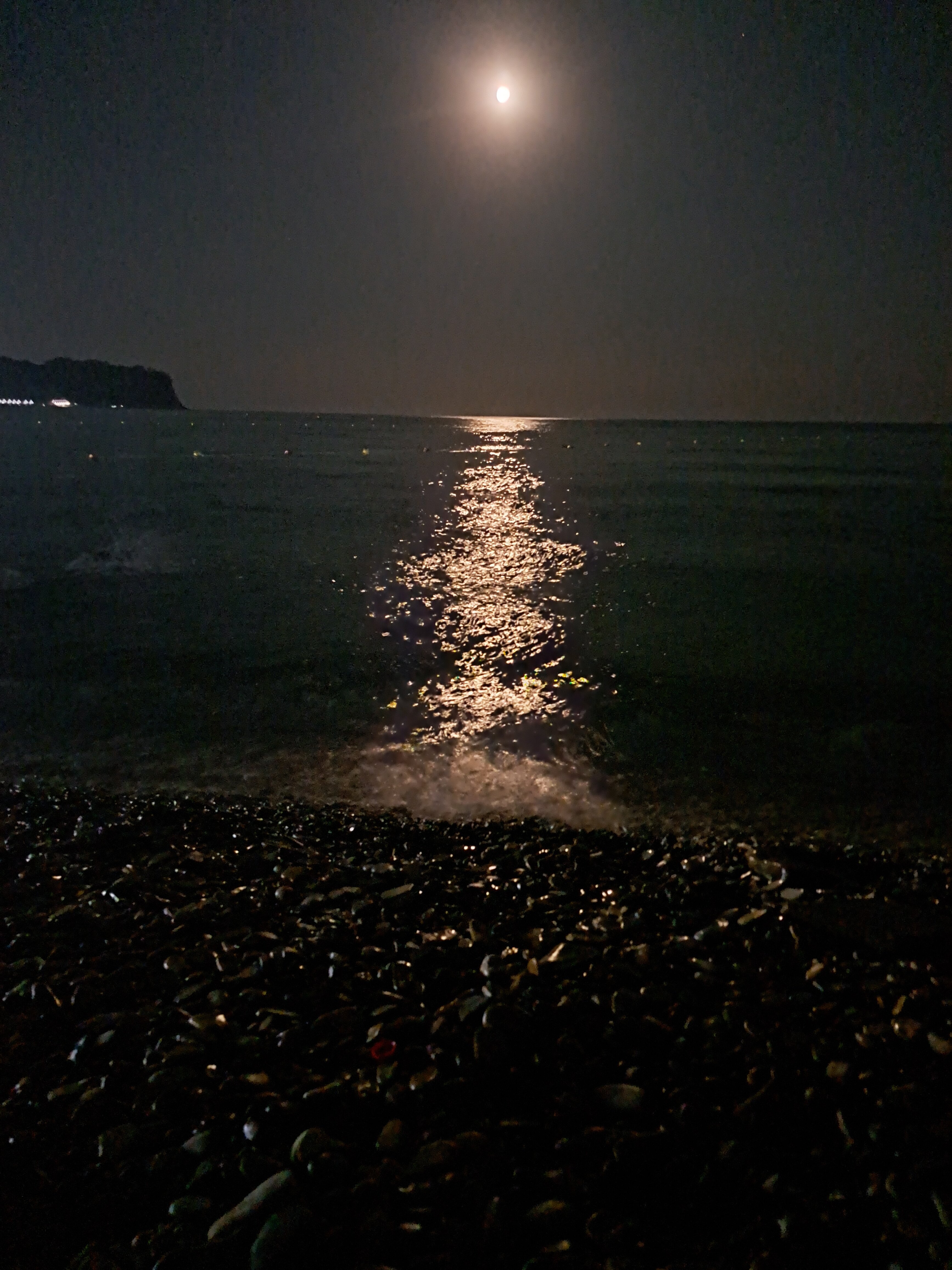 Фото Гостиница 557