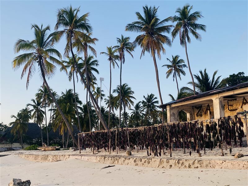 Фото Mbuyuni Beach Village