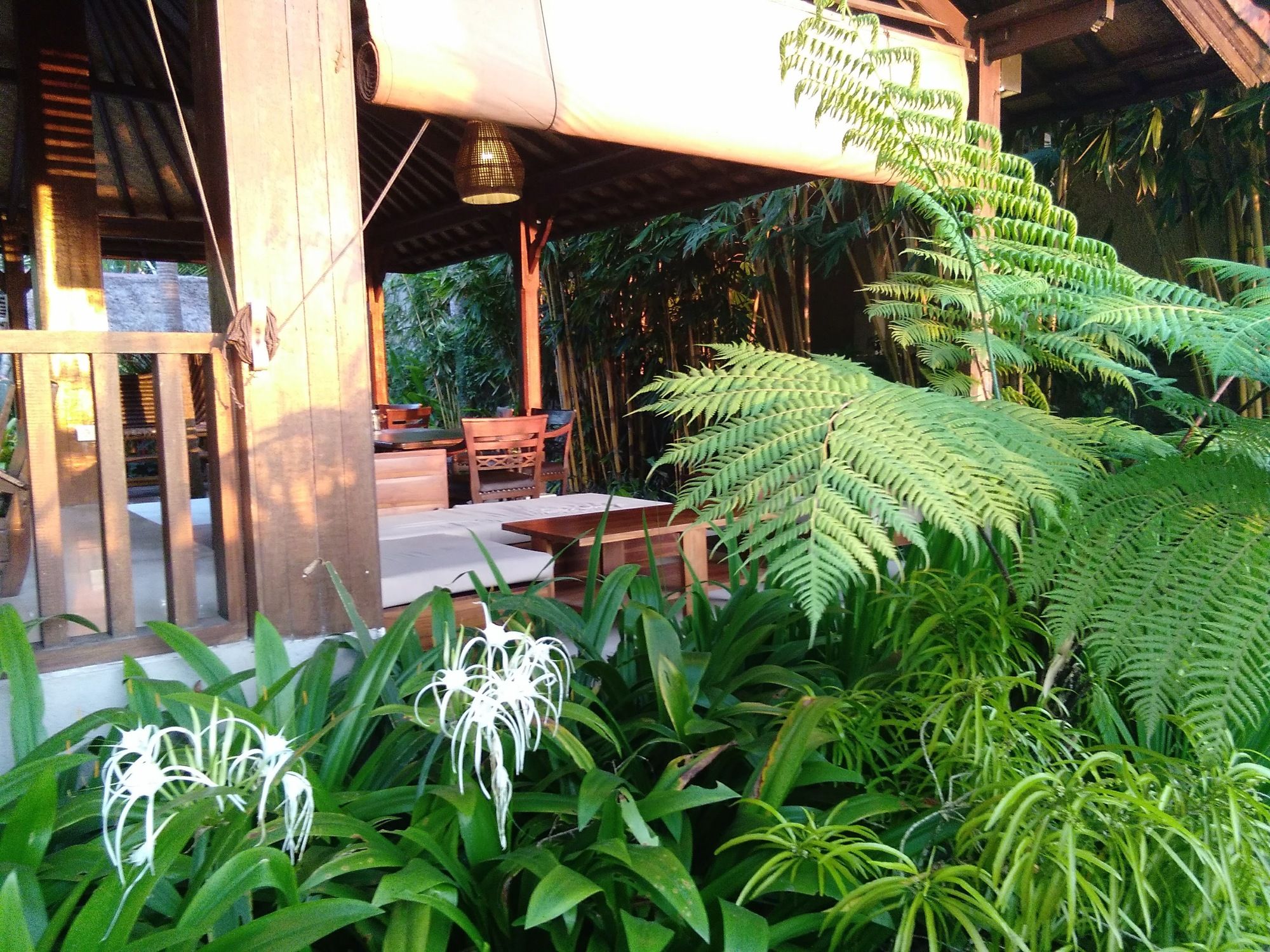 Фото Artini Bisma Ubud Hotel