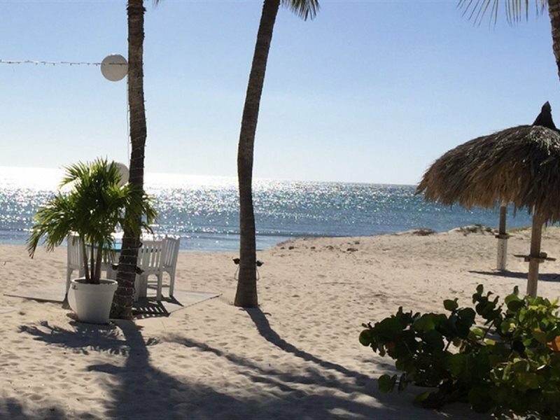 Фото Aruba Blue Village