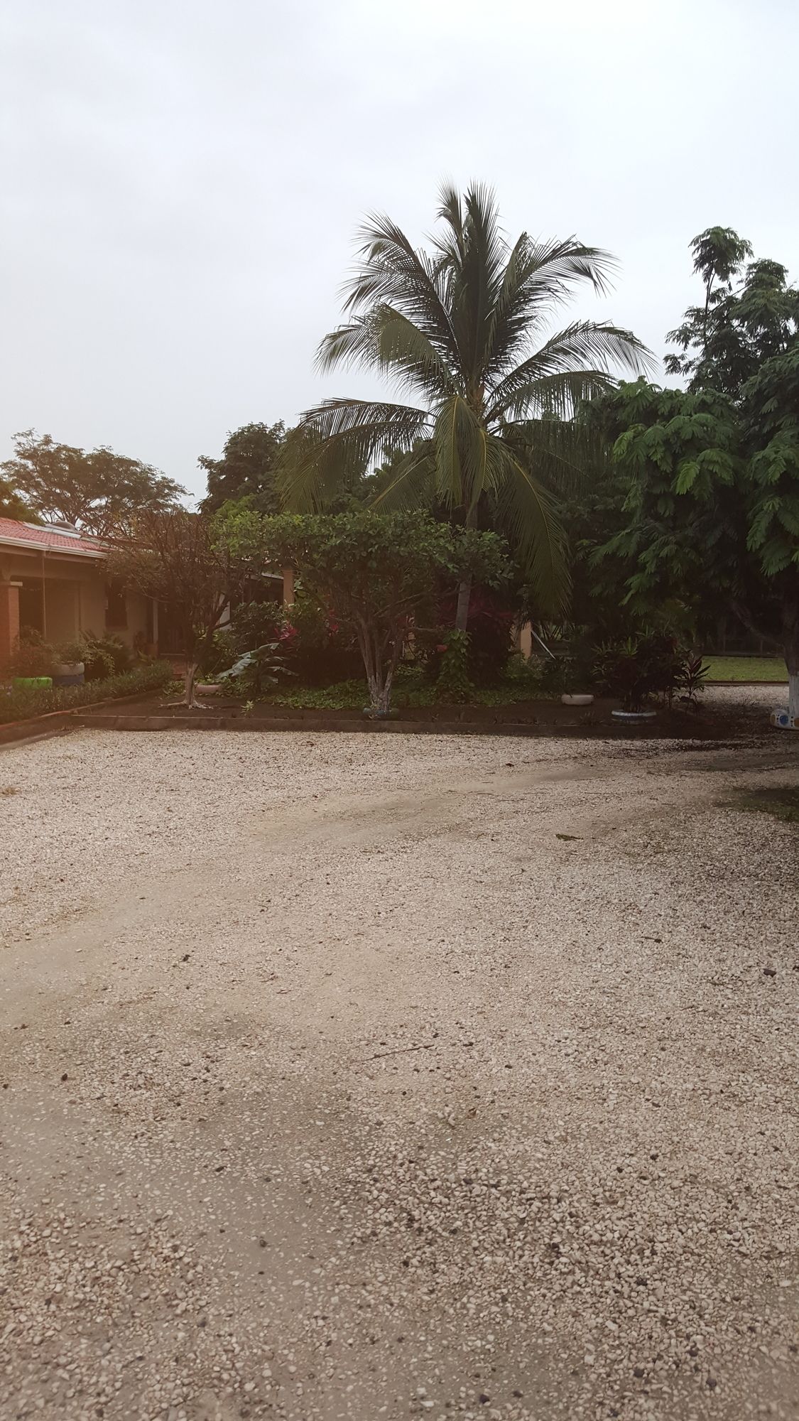 Фото Hotel La Arena