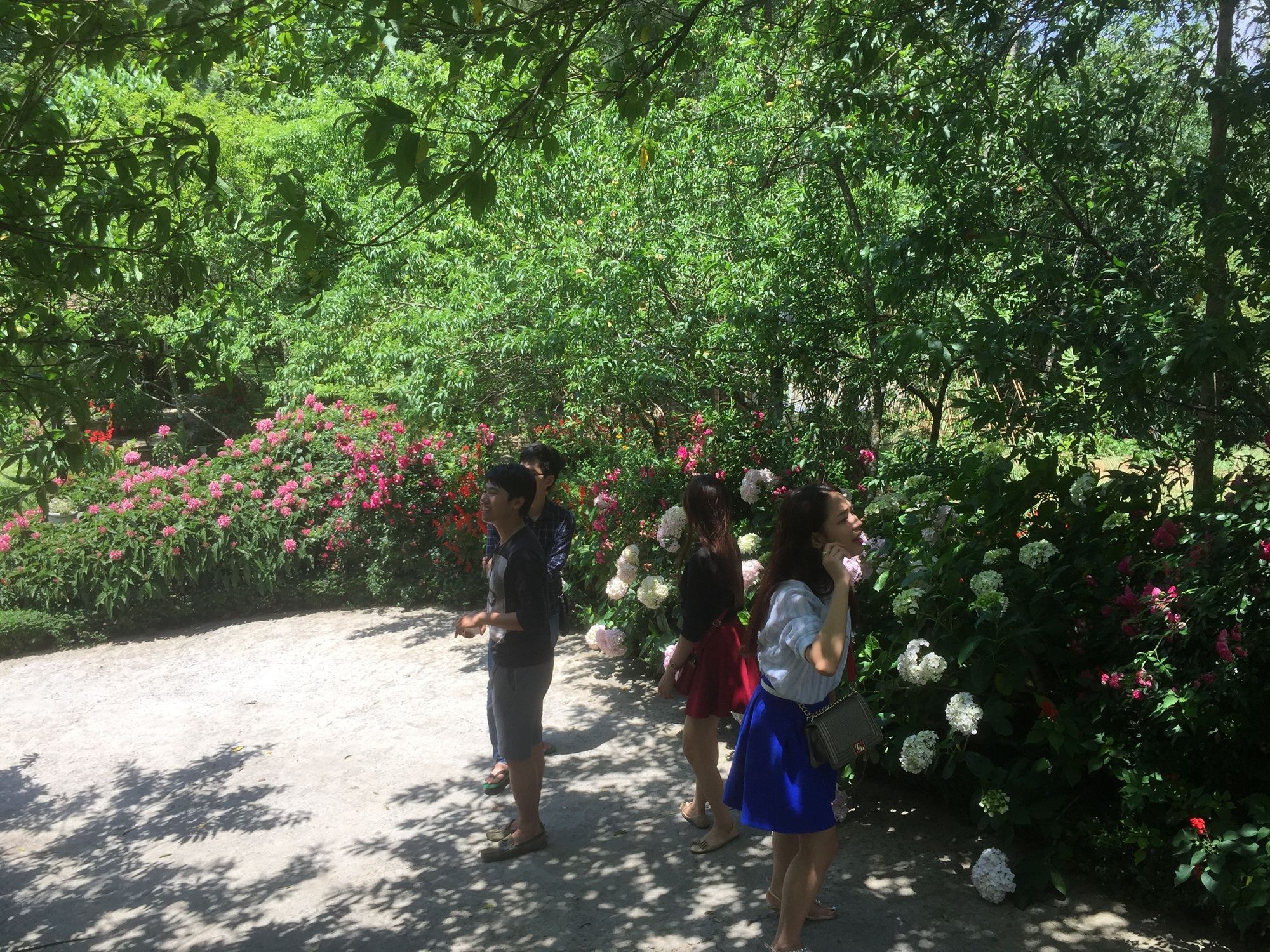 Фото Гостевой Дом Sapa Garden