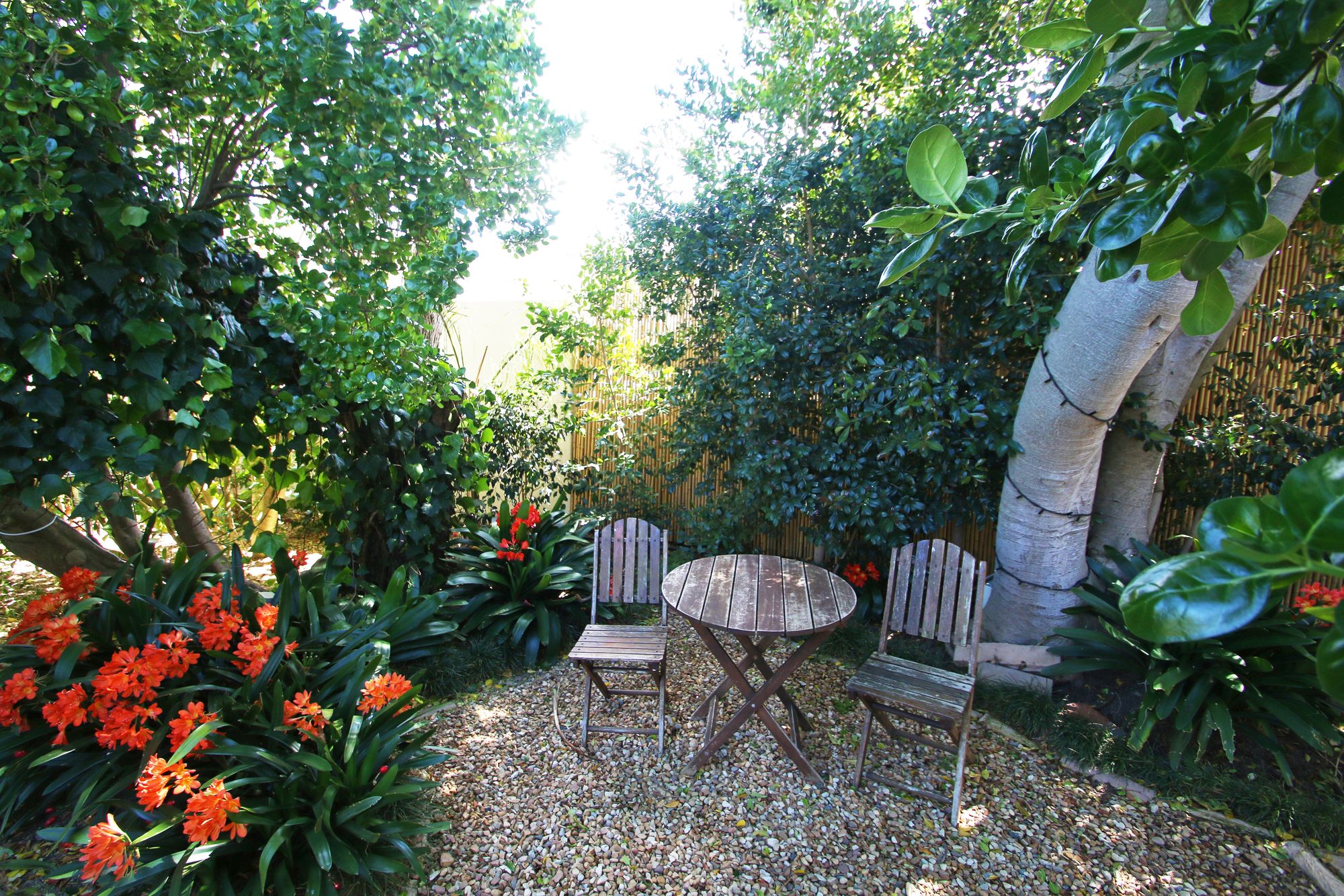 Фото Paradiso Guest House