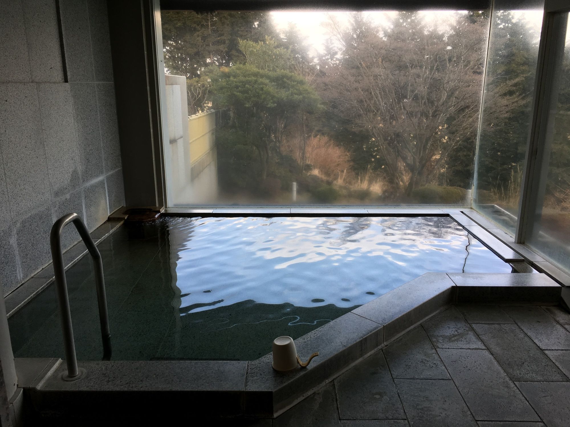 Фото Hakone Yunohana Prince Hotel