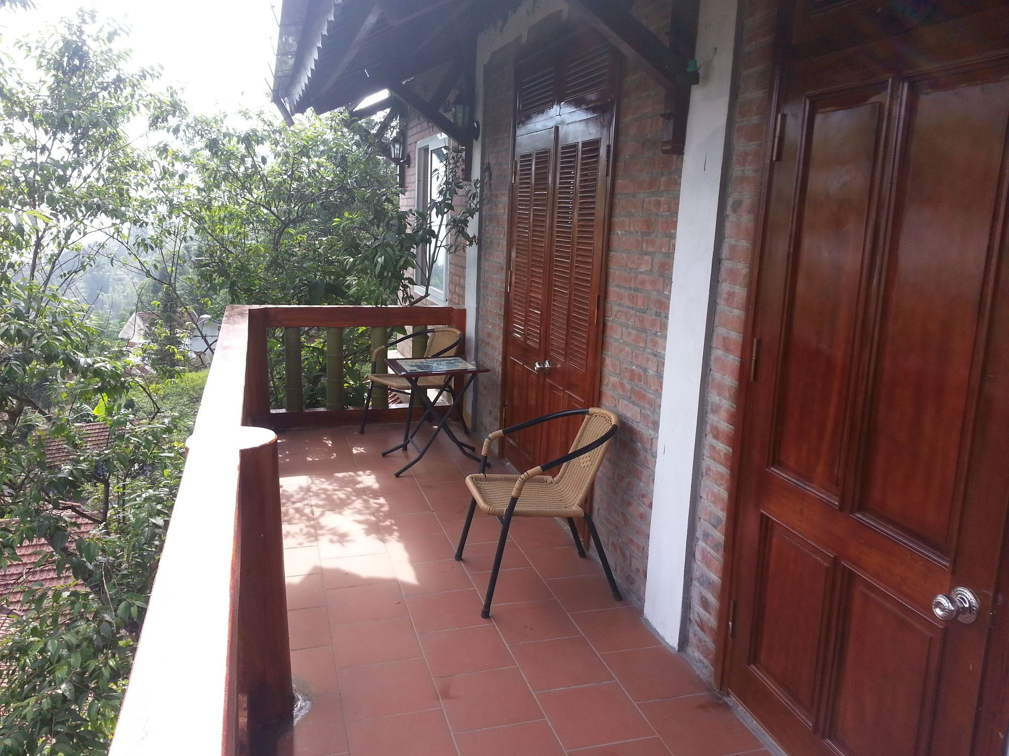 Фото Cat Cat View