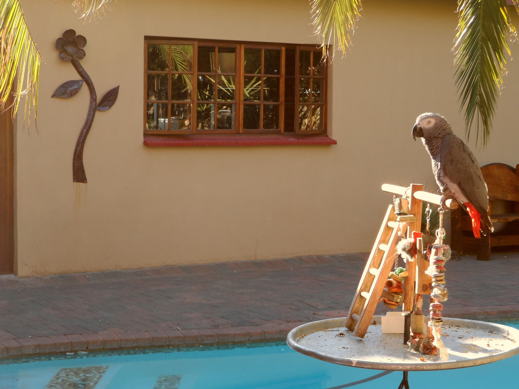 Фото A Cherry Lane Self Catering and B&b