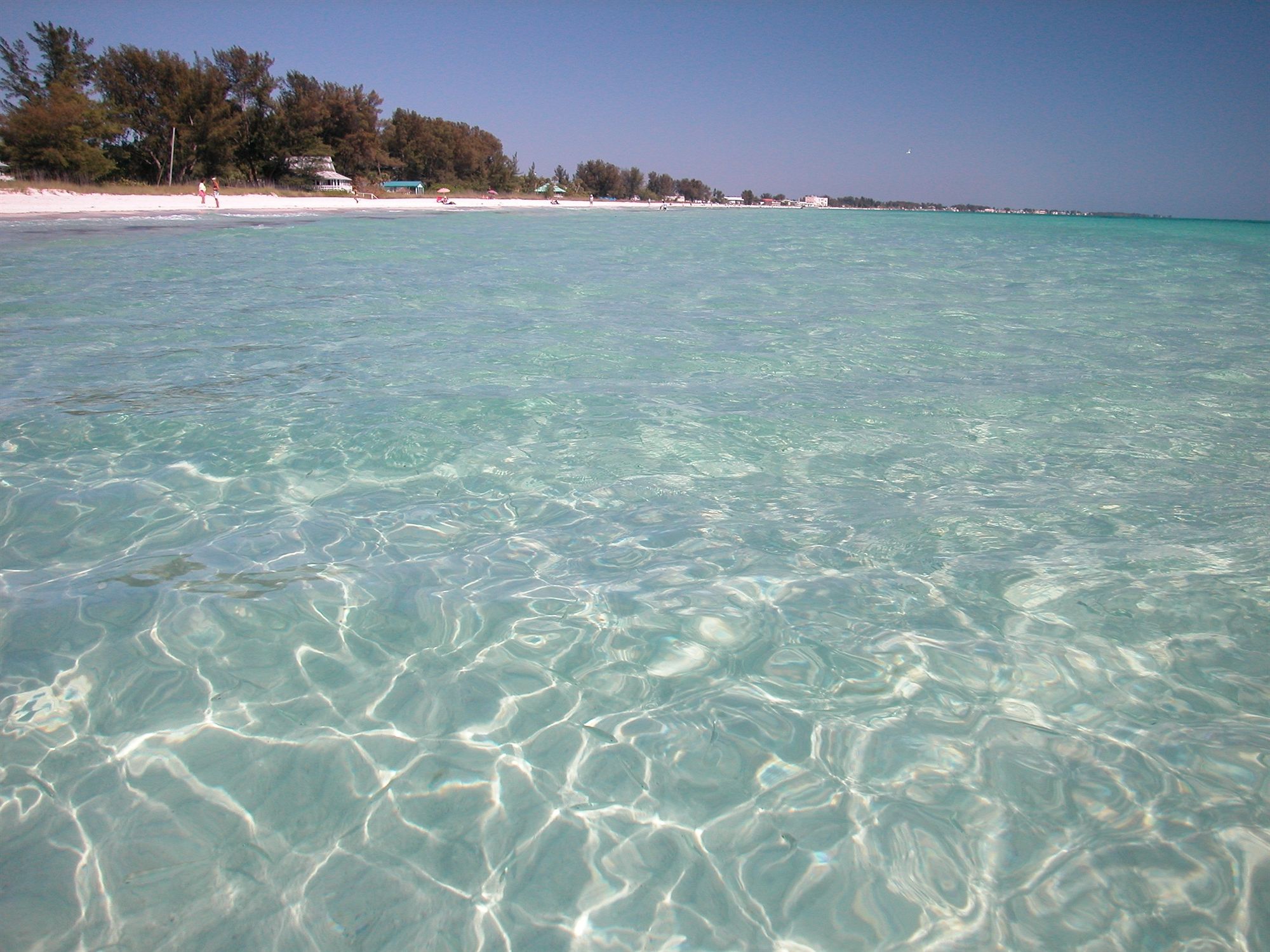 Фото Silver Surf Gulf Beach Resort