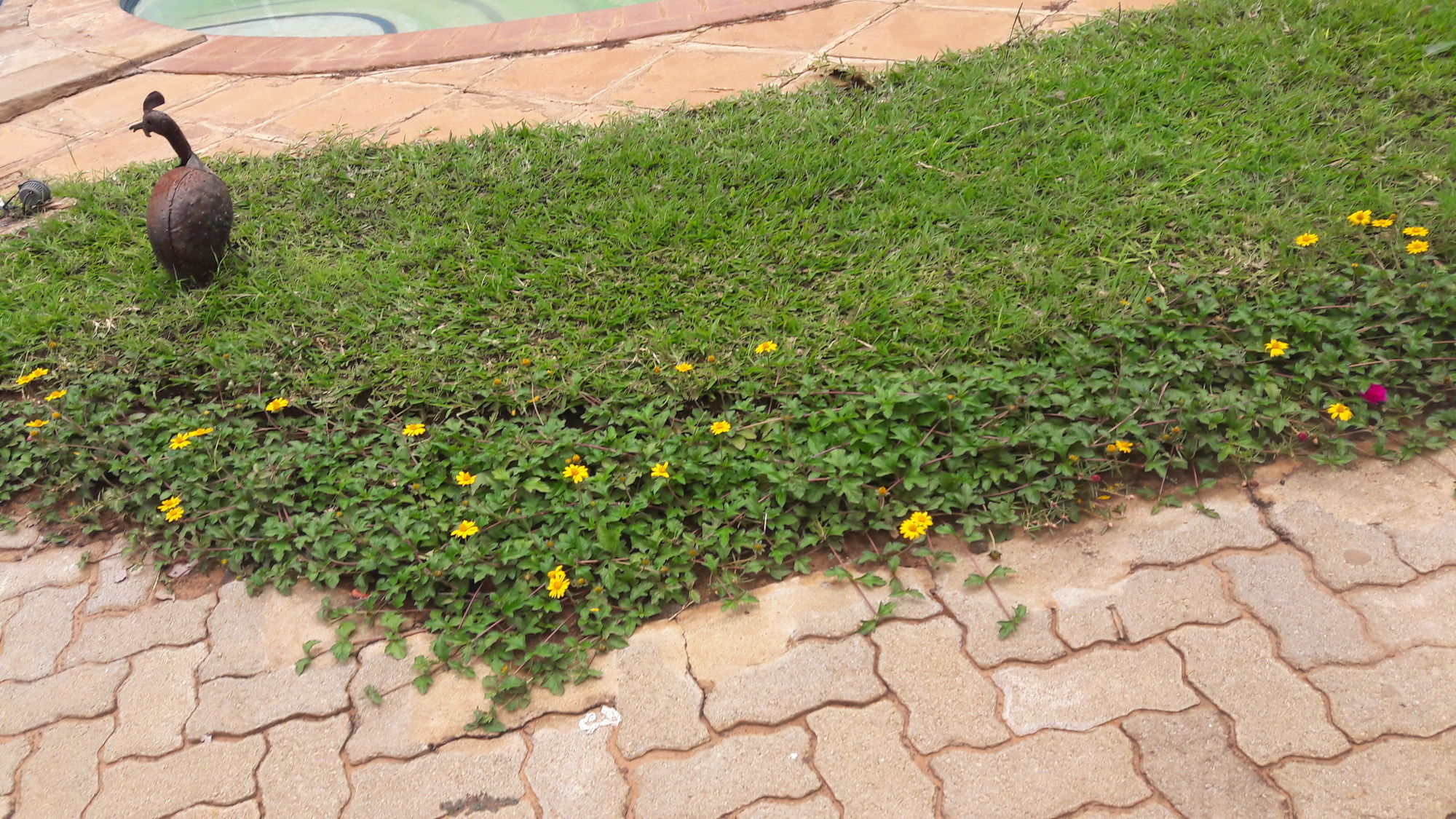 Фото Tasha Lodge