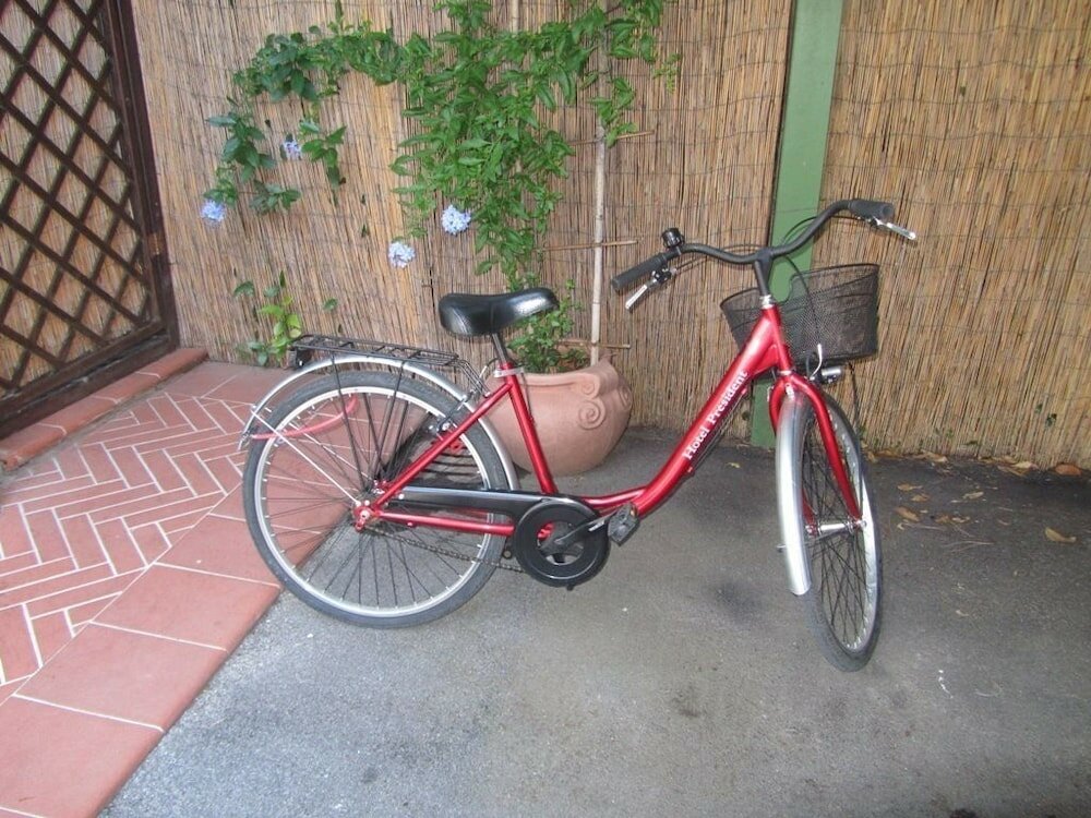 Фото Hotel President