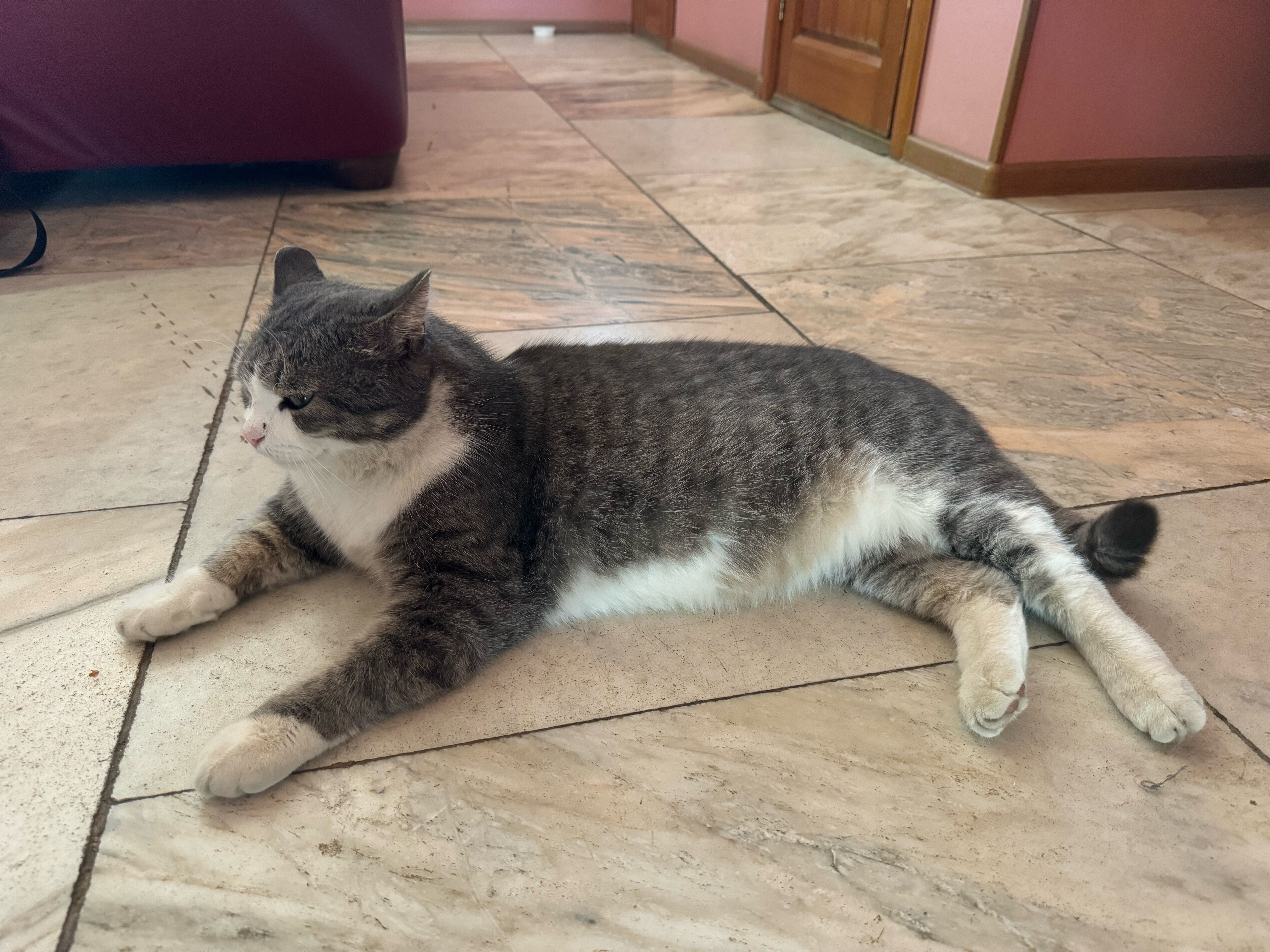 Фото Парадиз