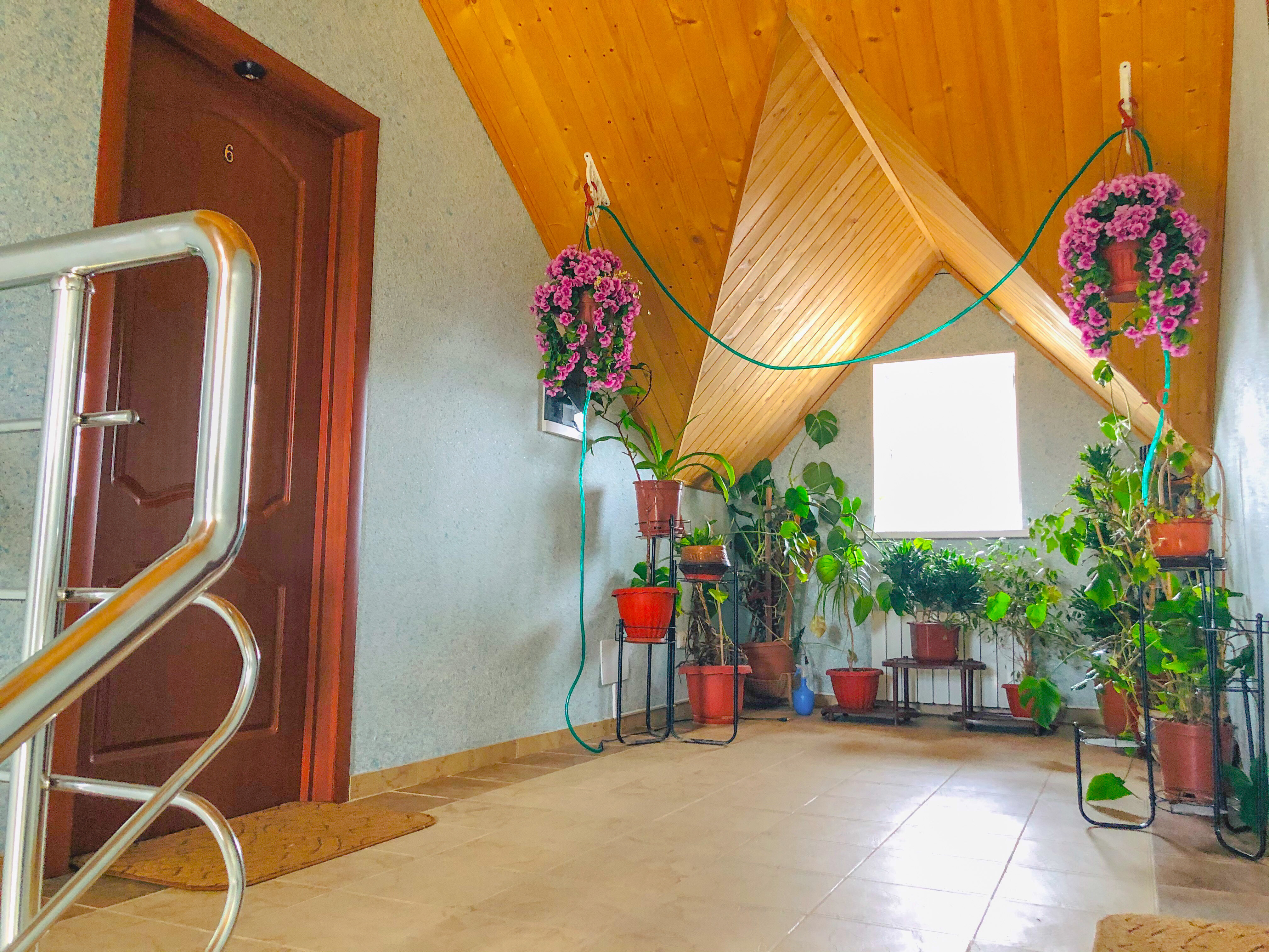 Фото Дарина