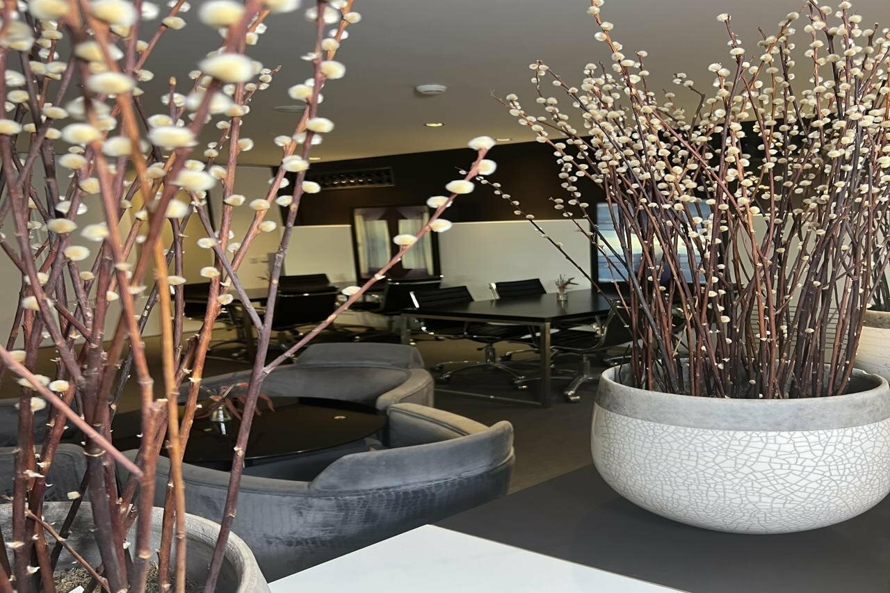 Фото Hotel Vilamari