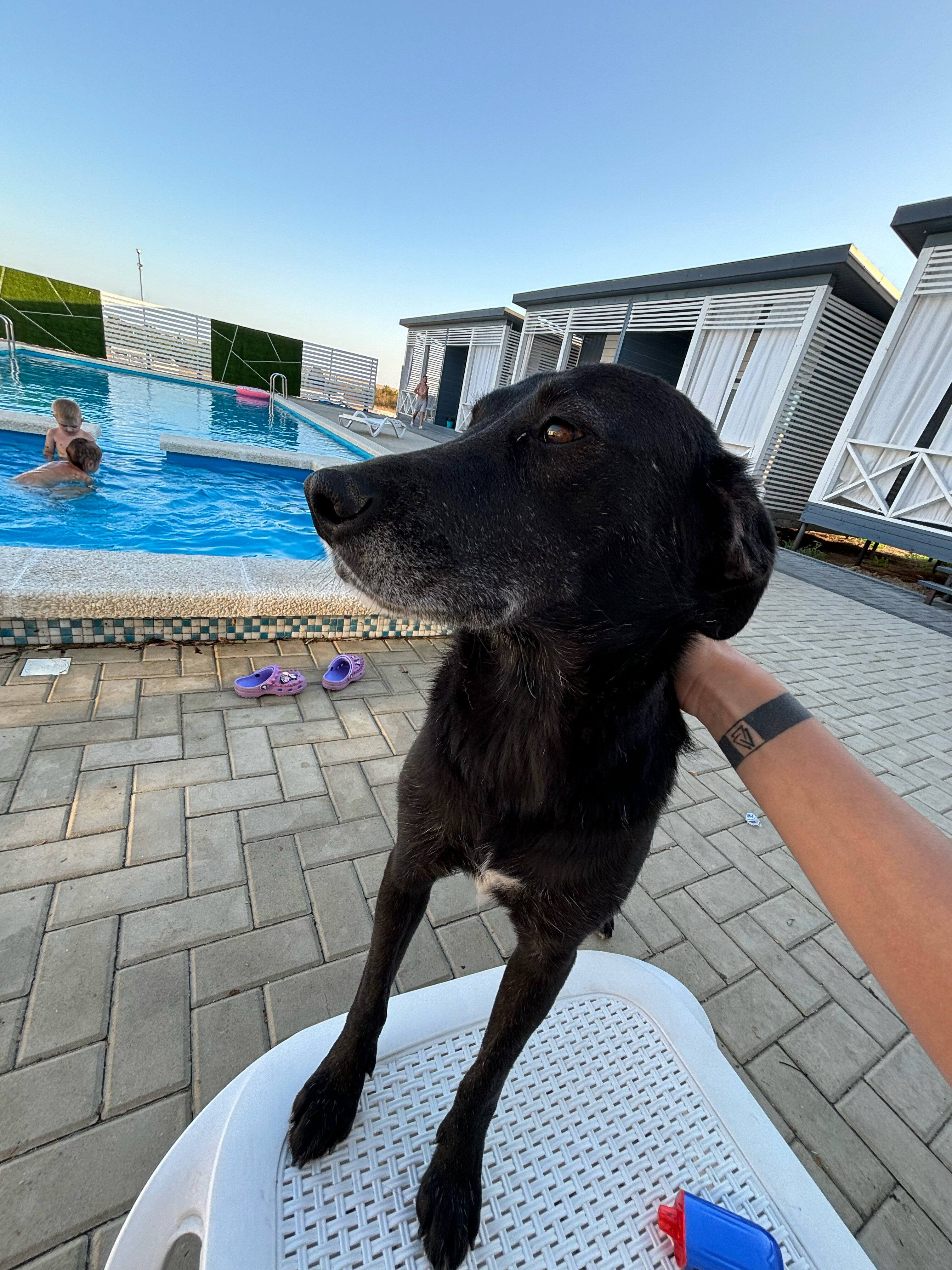 Фото Заморем