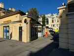 Violet (Radishcheva Street, 39В), decorative coatings