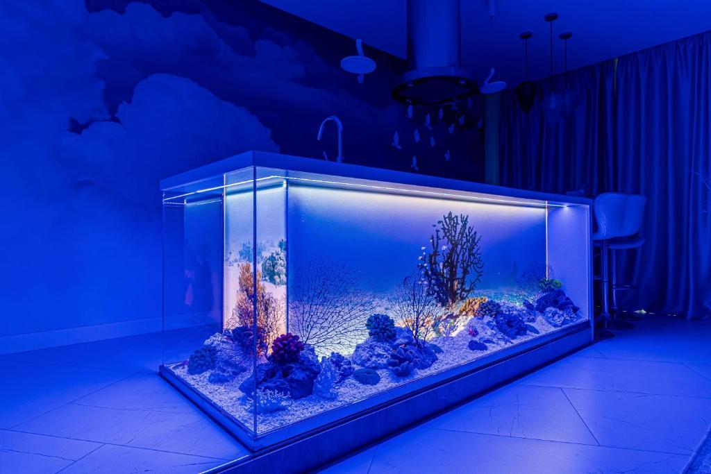 Фото Apart Premium