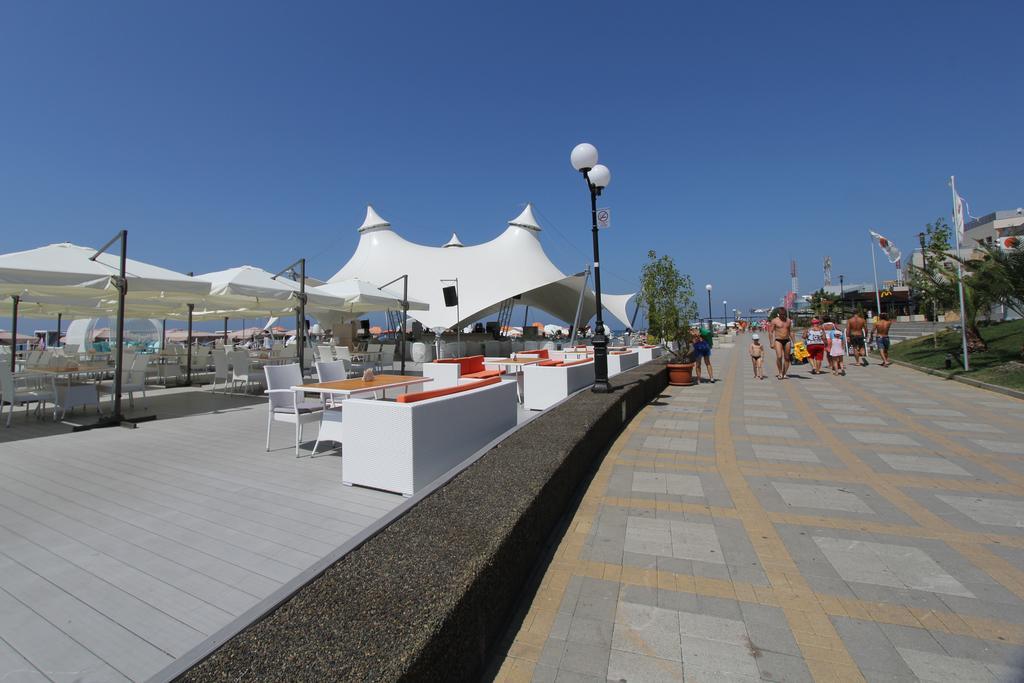 Фото Страна магнолий