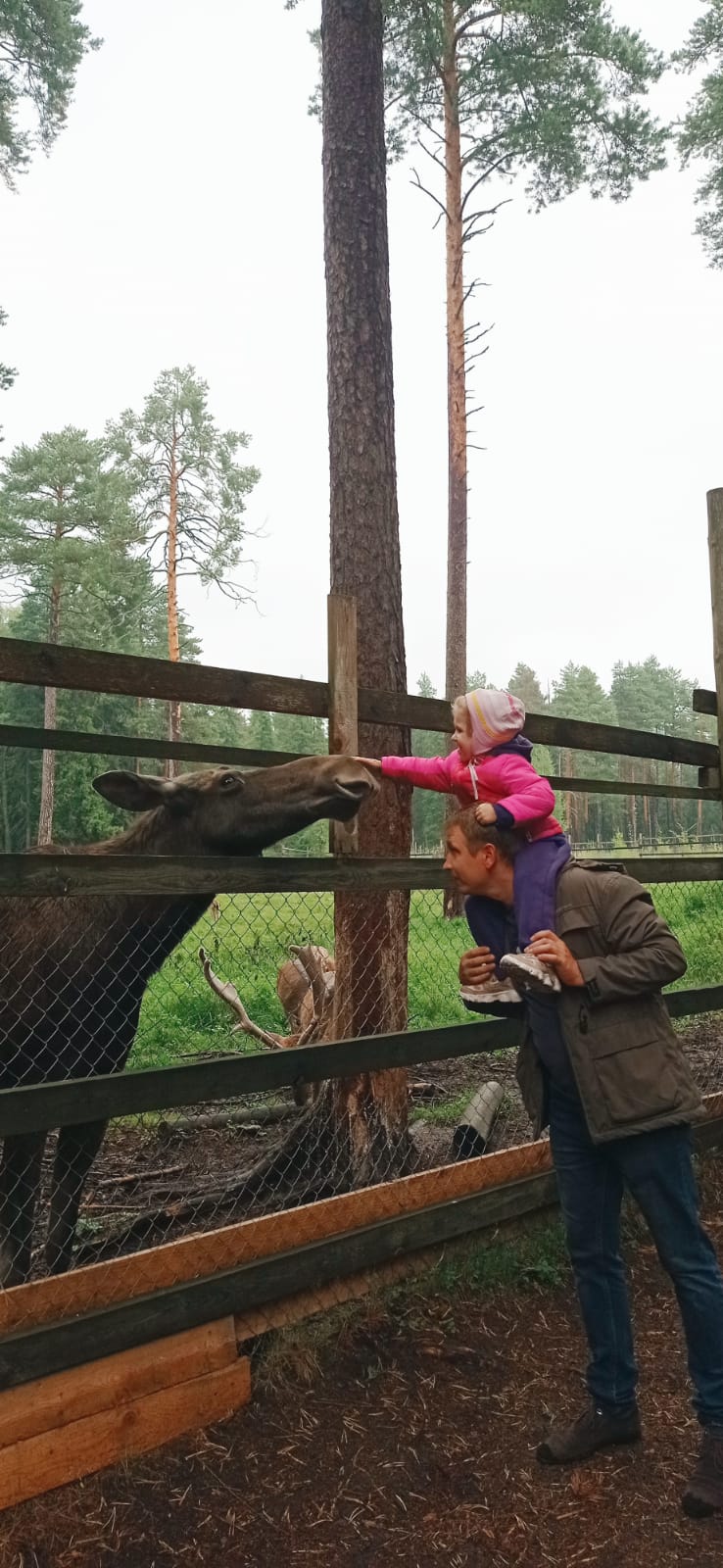 Фото Жи-Ши Шалаши