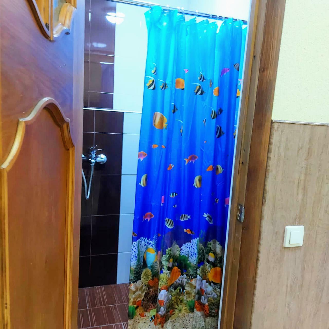 Фото Ракушка