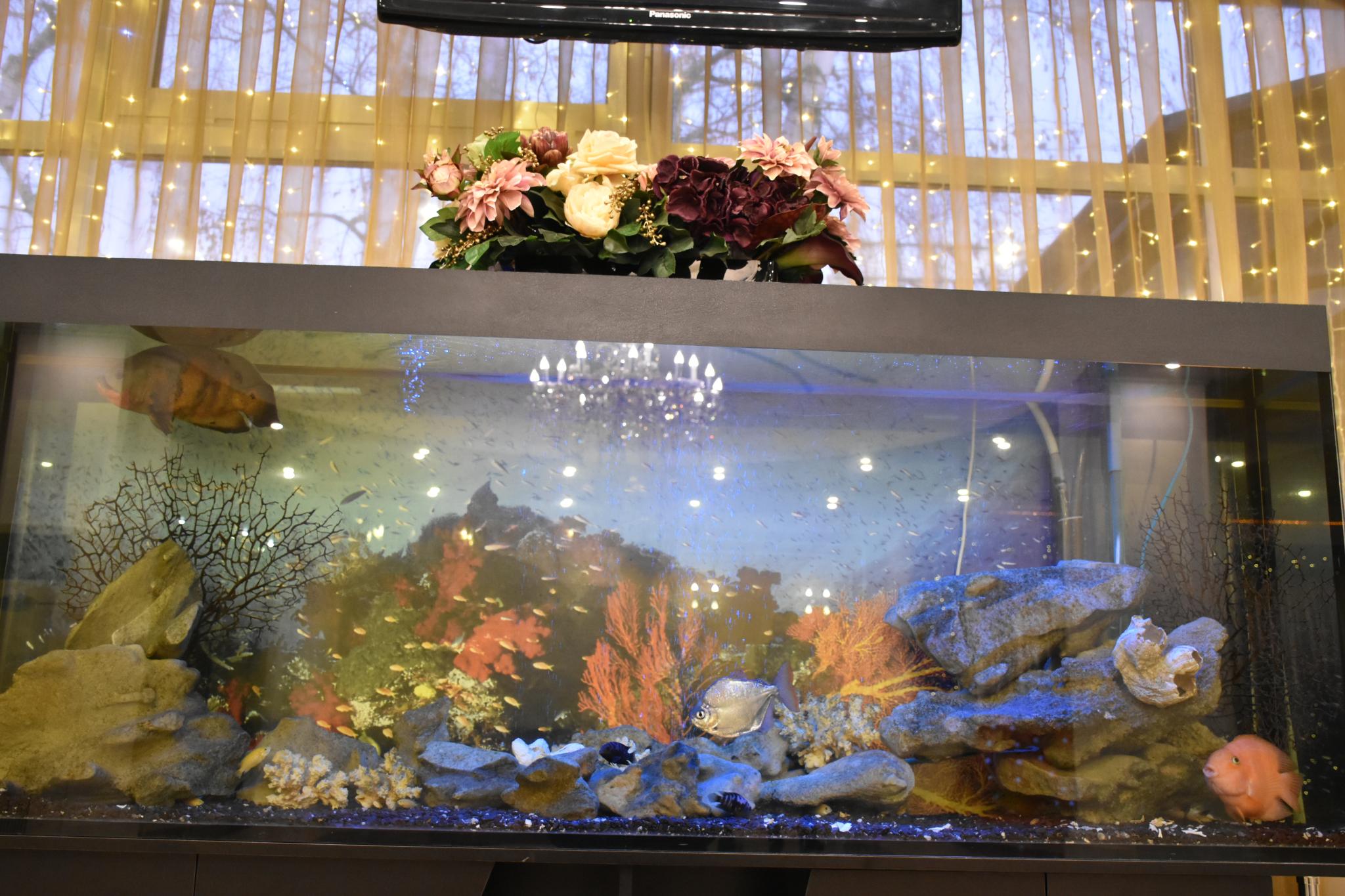 Фото Екатерининский