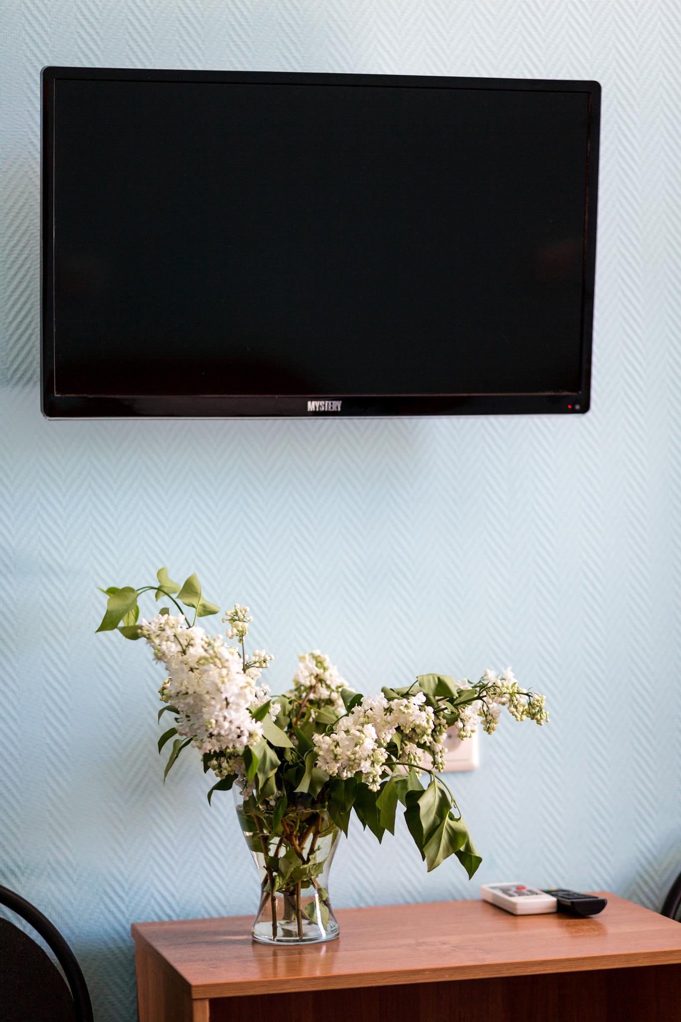 Фото Солнечная