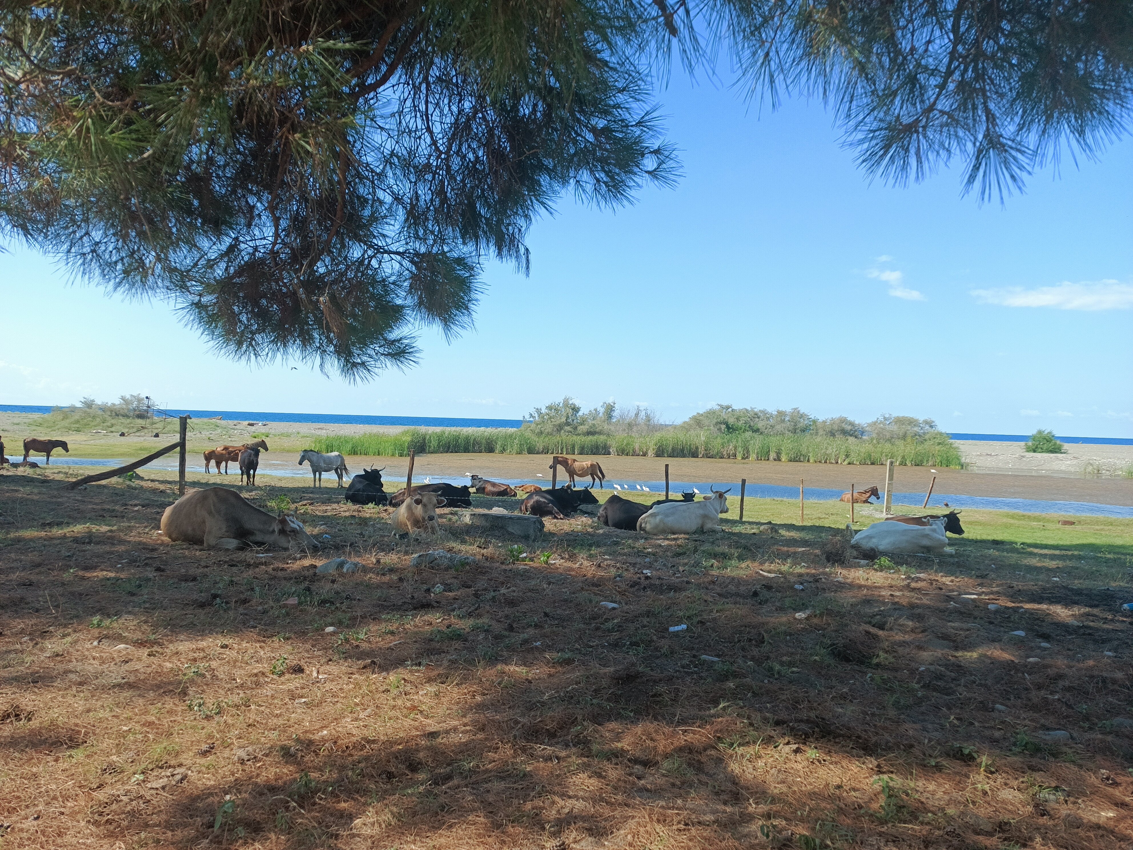 Фото Чак-Чак