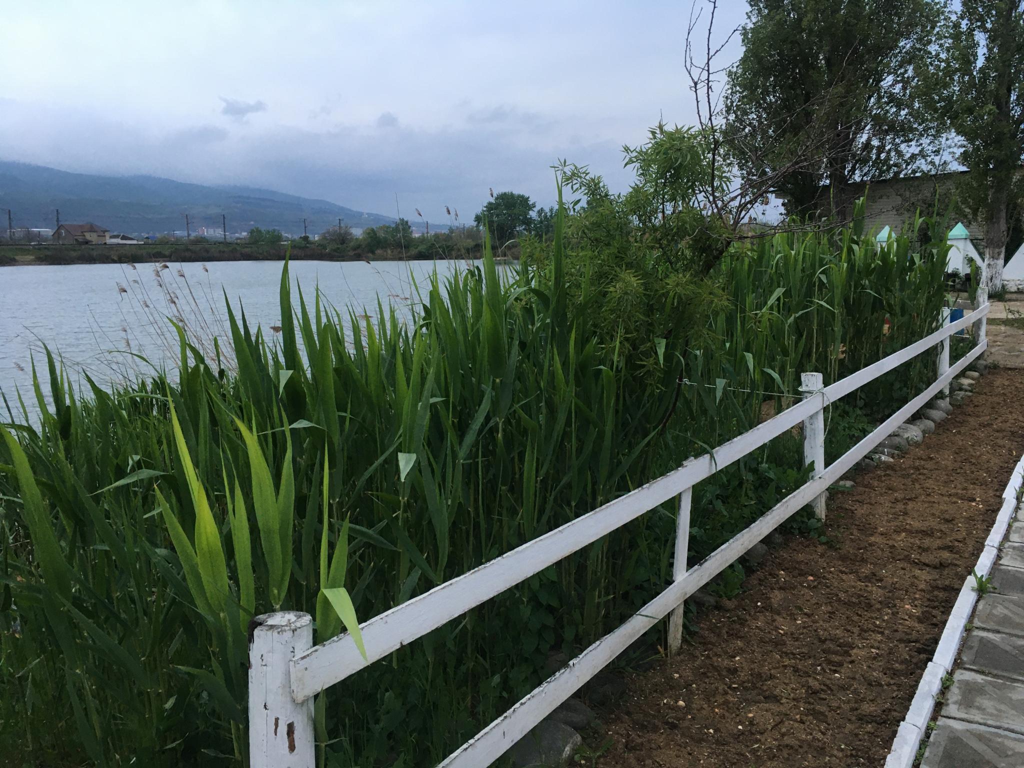 Фото Причал