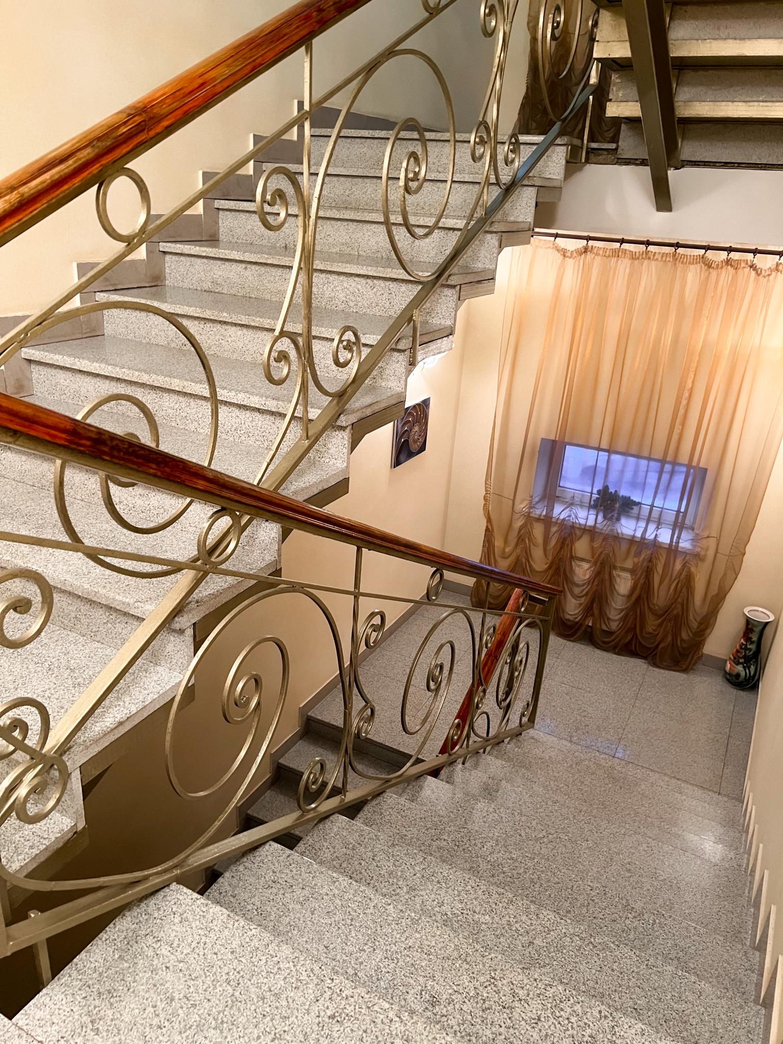 Фото Наутилус