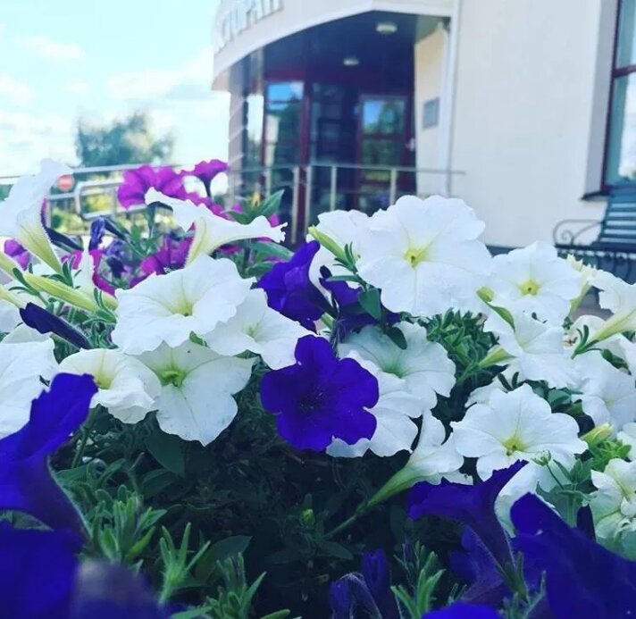 Фото Загородный клуб Ольховка