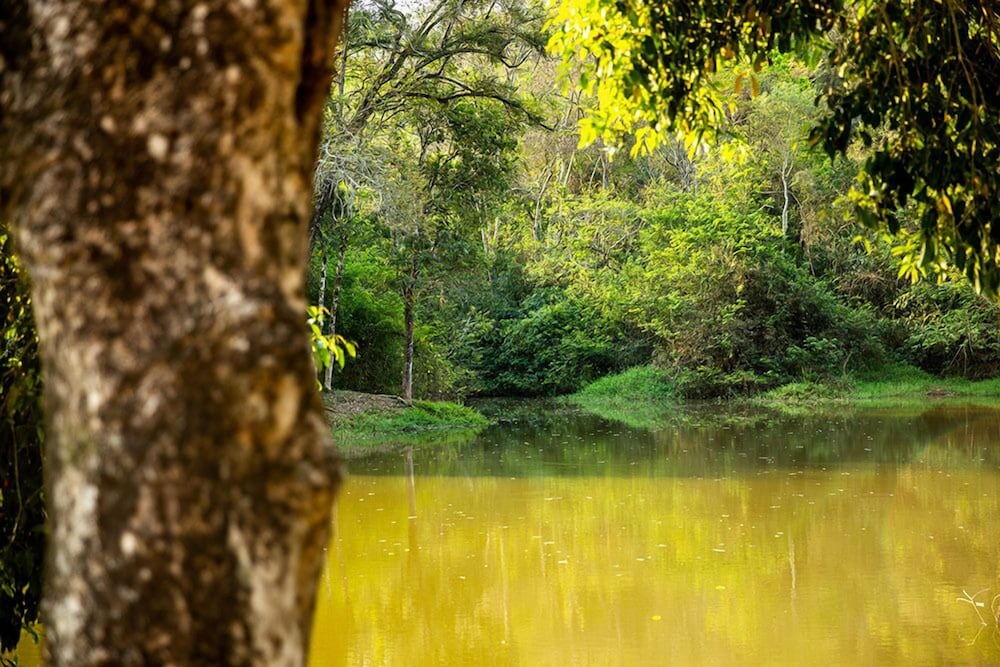 Фото Hotel Fazenda Estancia Reviver