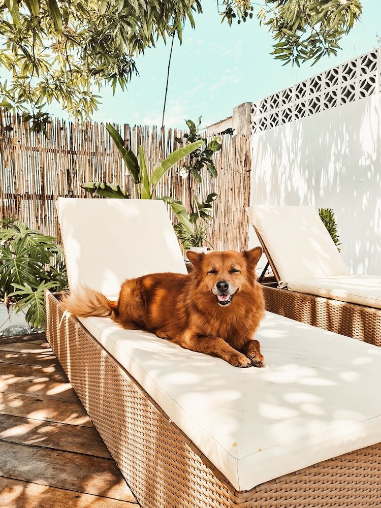 Фото 148 Guesthouse and Resort