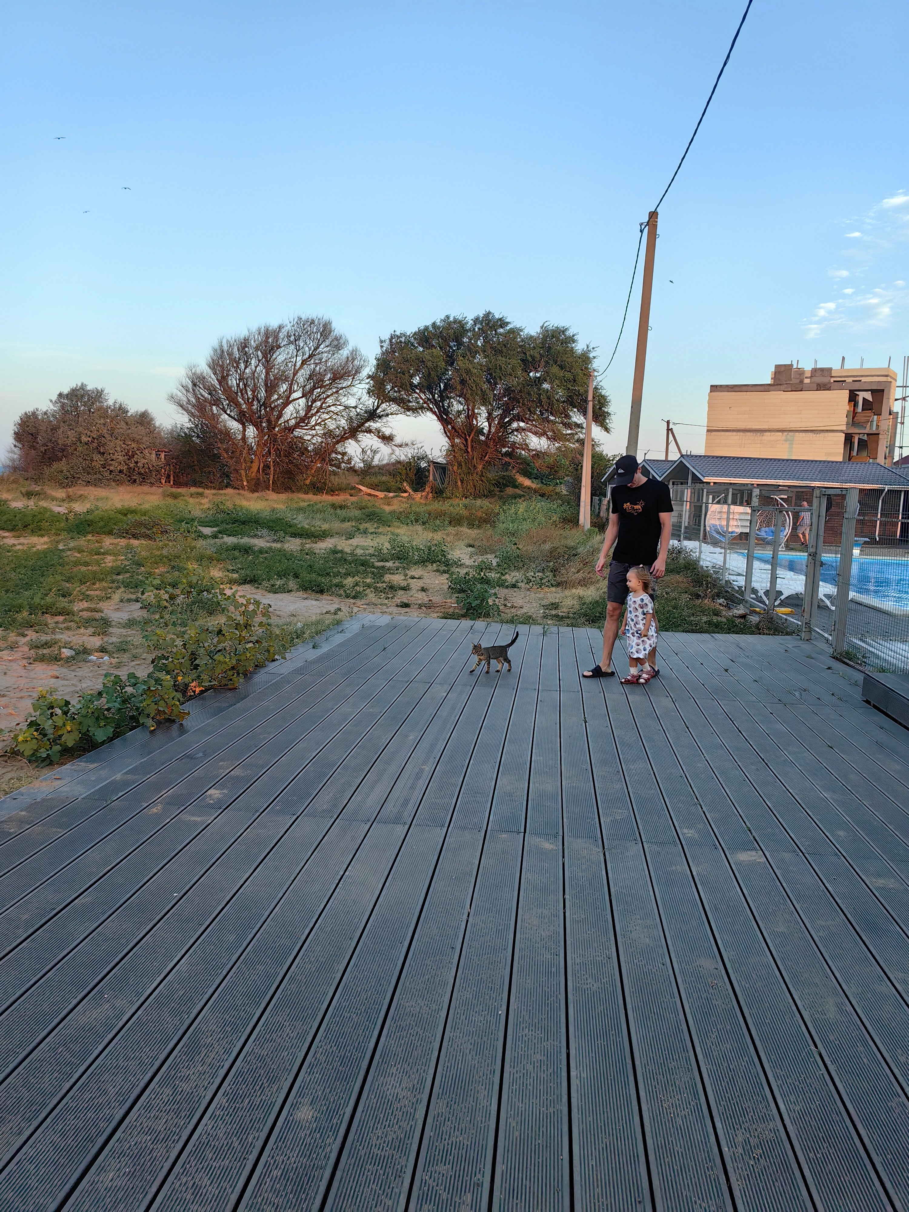 Фото Альбатрос