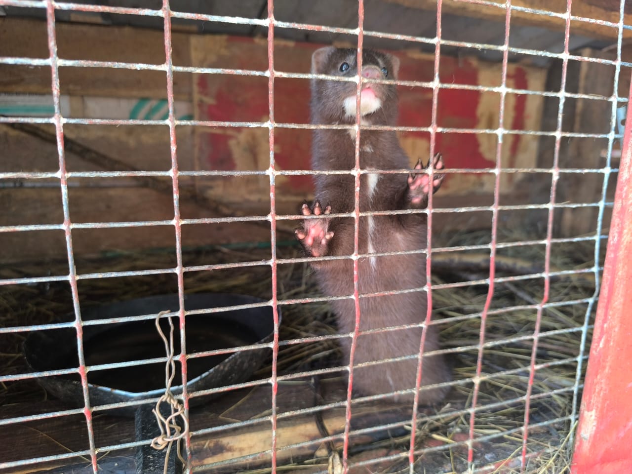 Фото Крепость