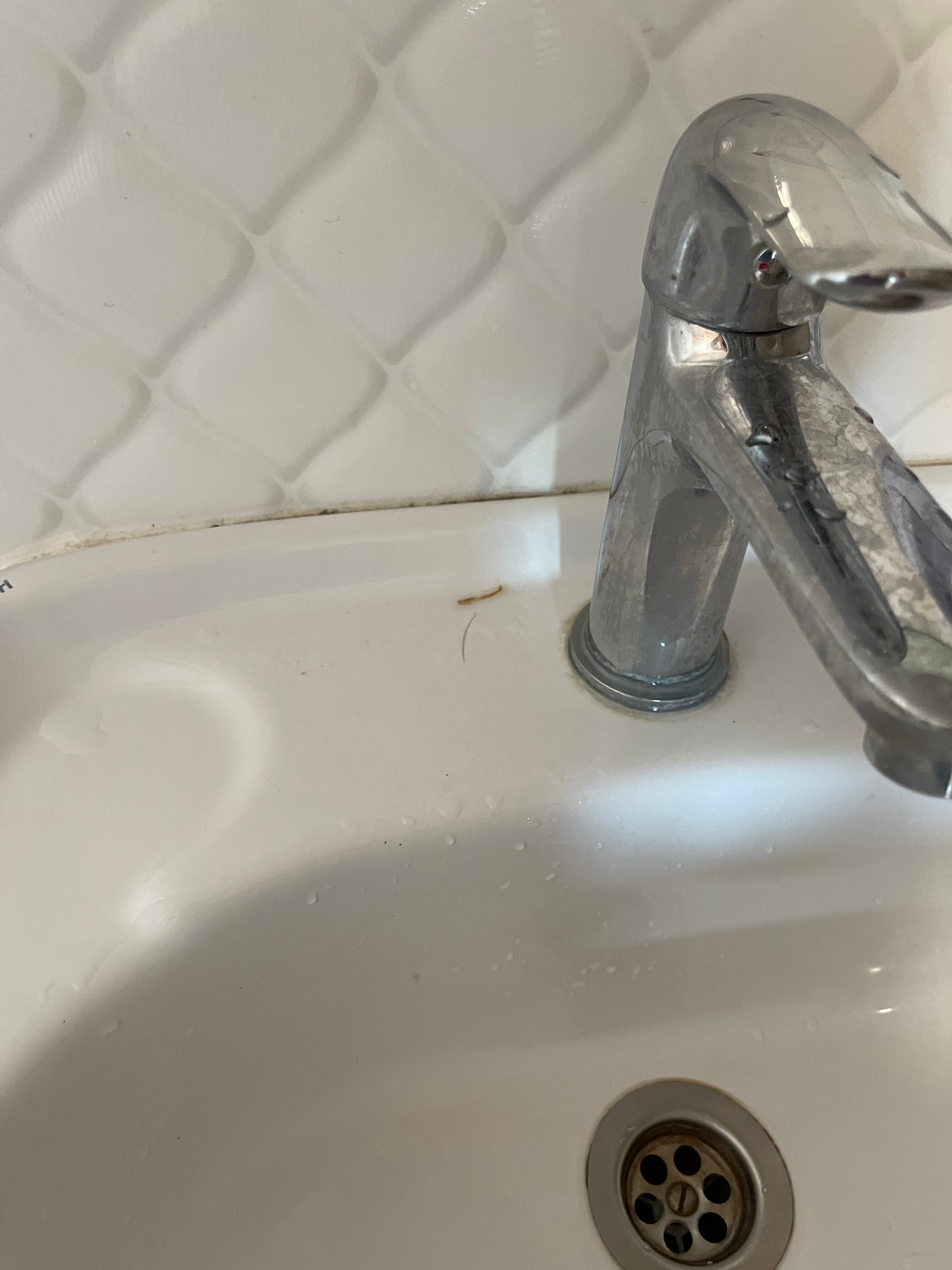 Фото Ёлочка