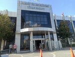 Esenyurt Municipality Wedding Palace (İstanbul, Esenyurt, Çınar Mah., 1357. Sok., 3) ، مكتب السجل المدني