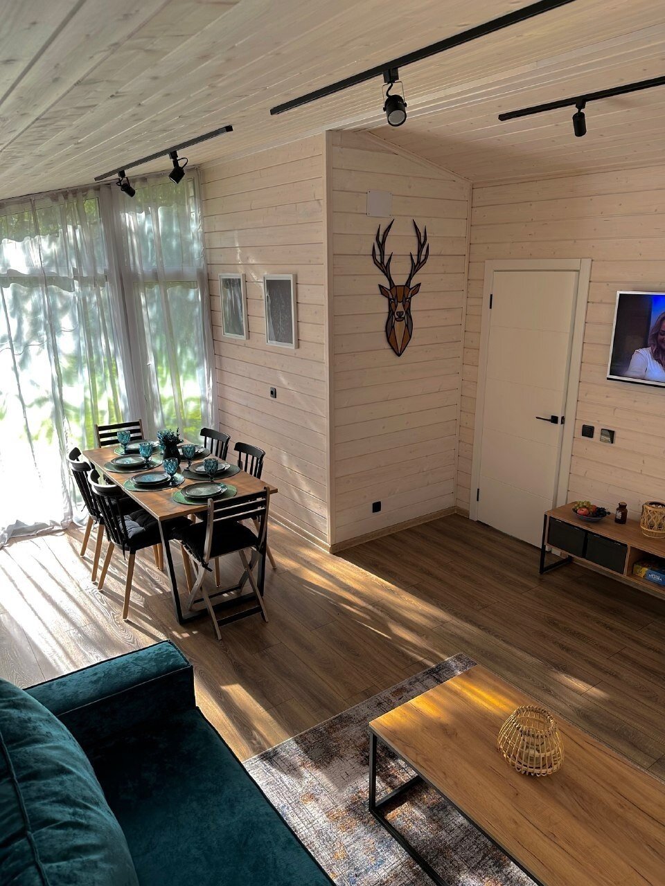 Фото ЁлкИголки