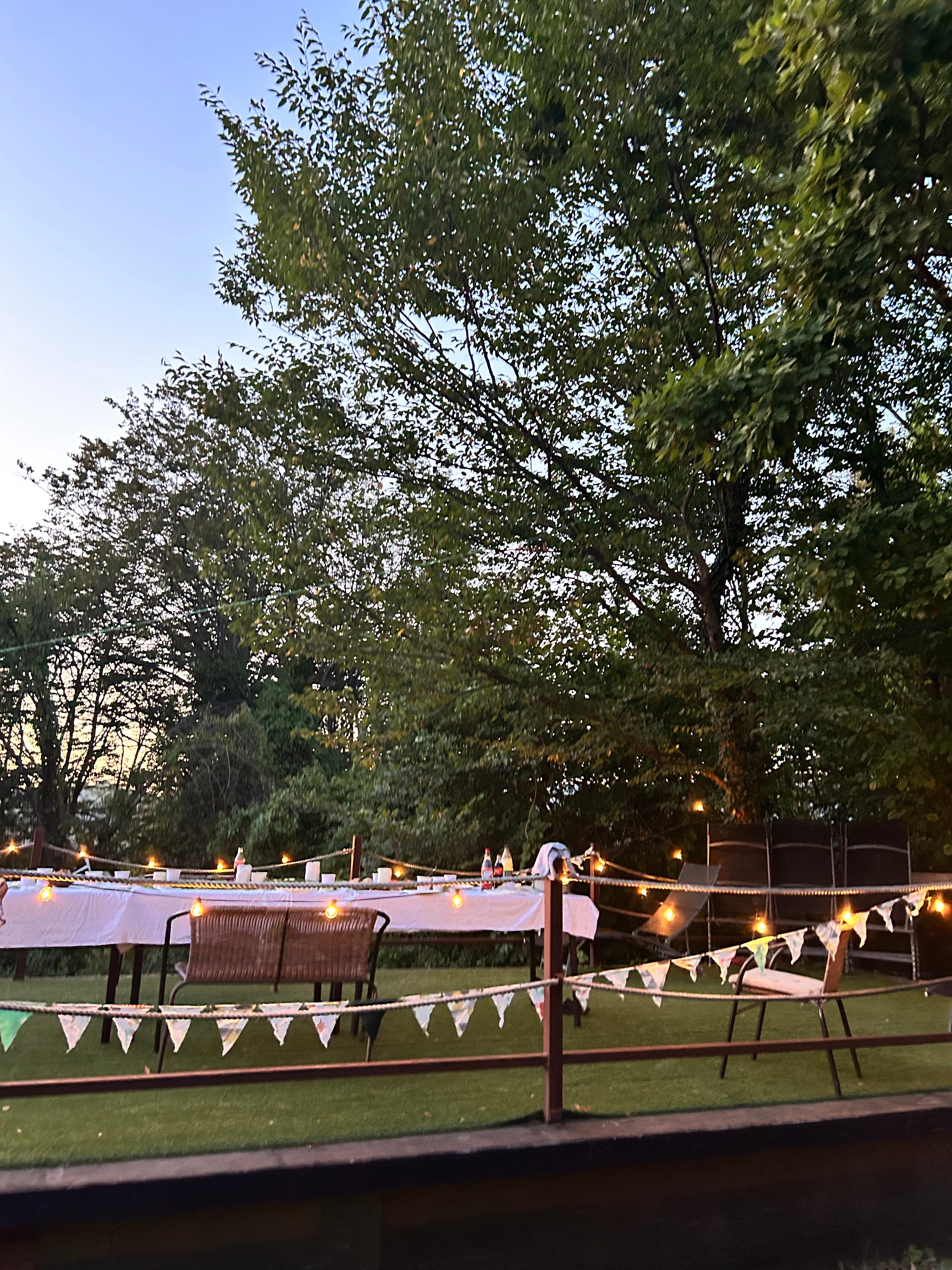 Фото Оранжереи