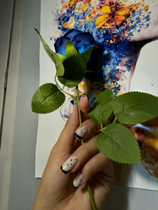 Valencia (posyolok gorodskogo tipa Novomikhaylovskiy, Mira Street, 84Д), beauty salon