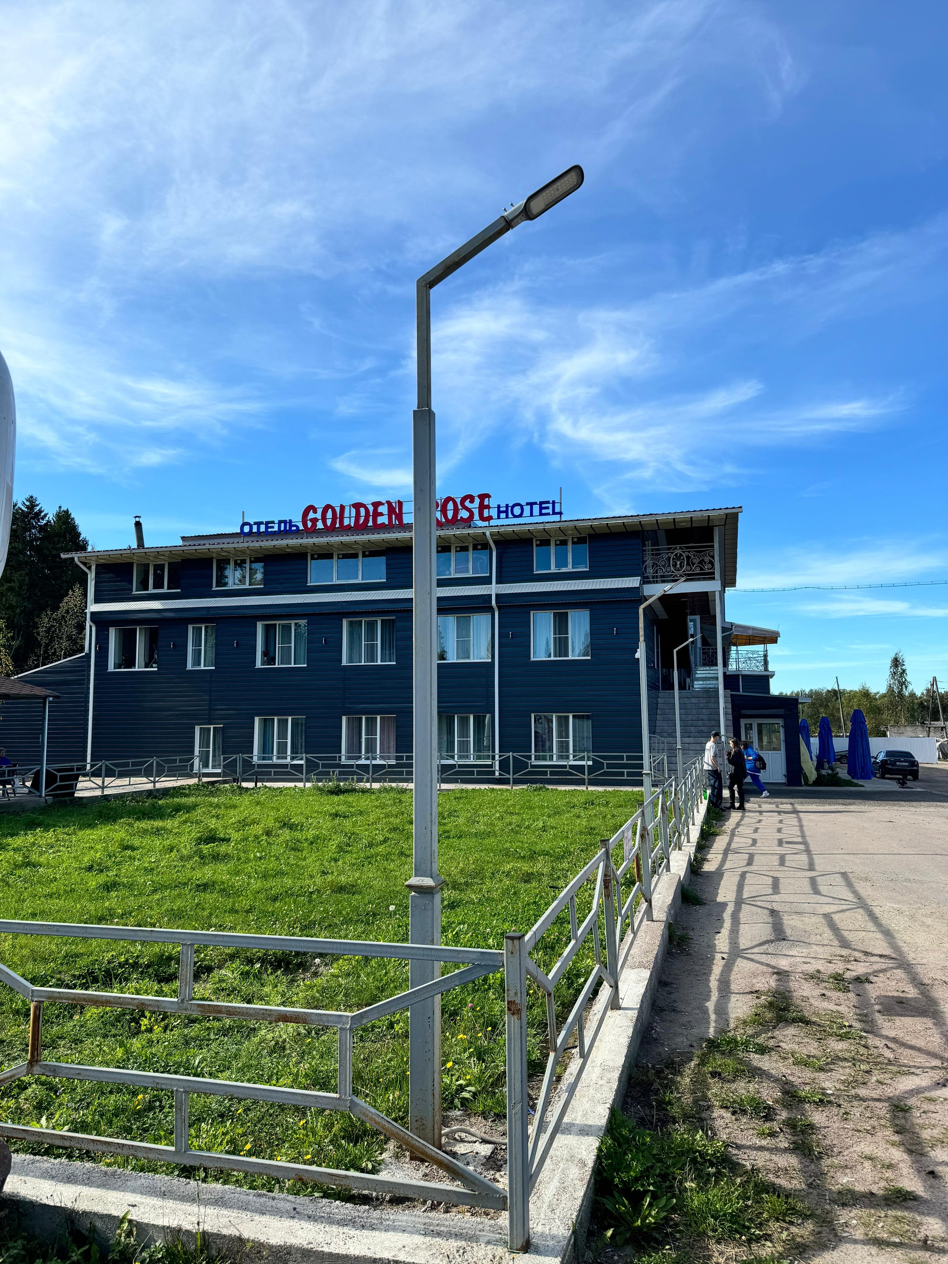 Фото Golden Rose