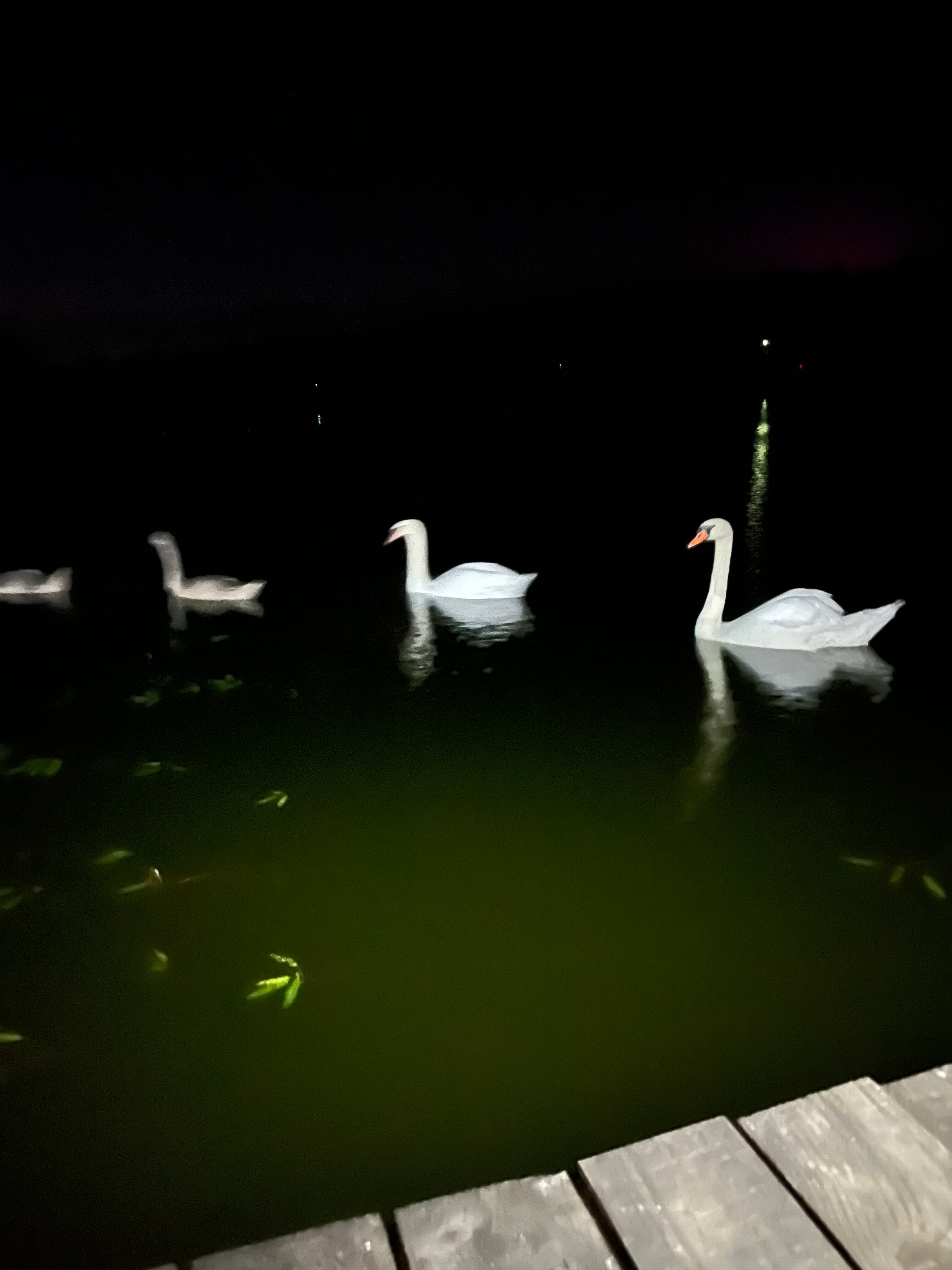 Фото Пильня