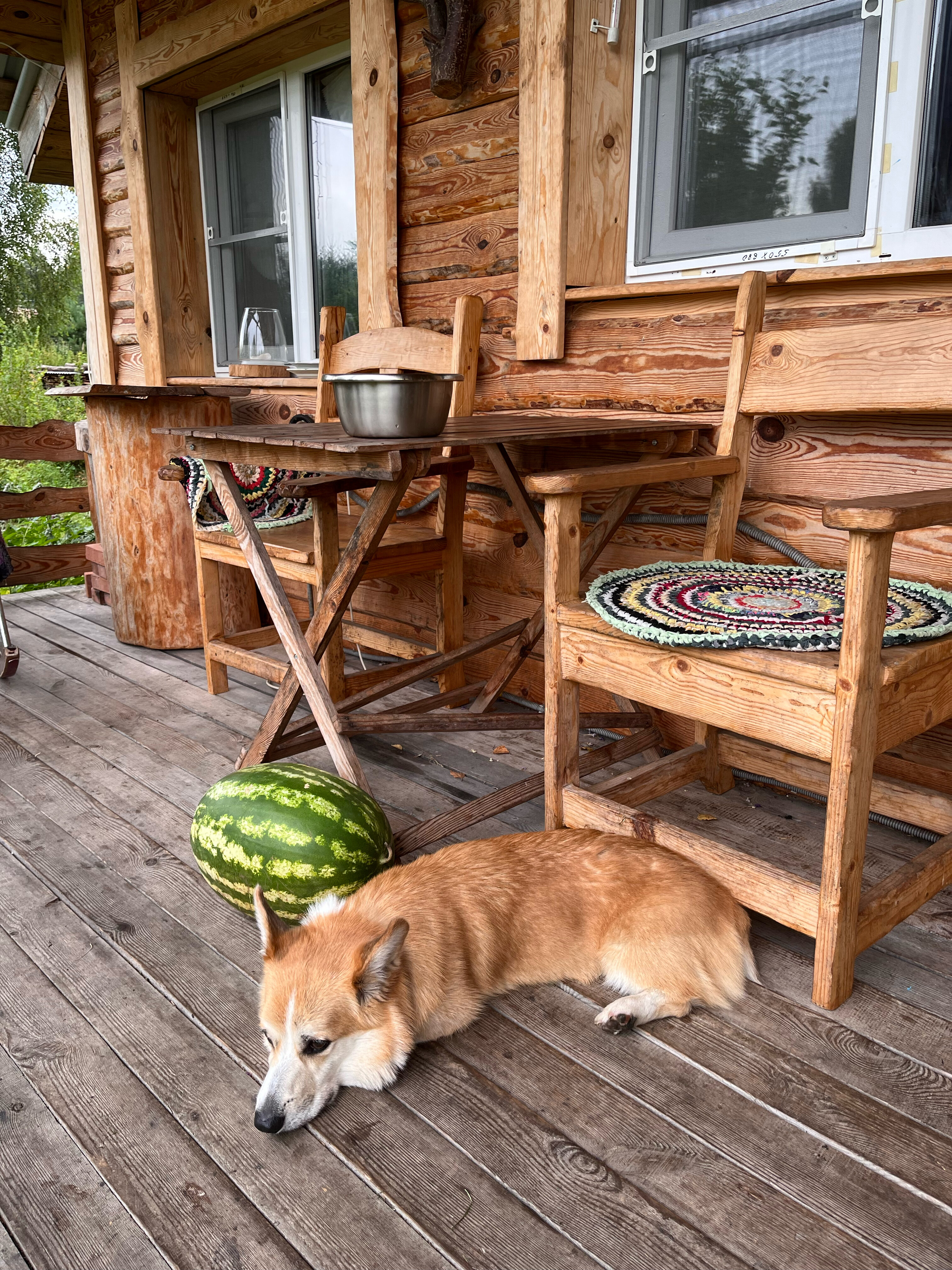 Фото Кедросад