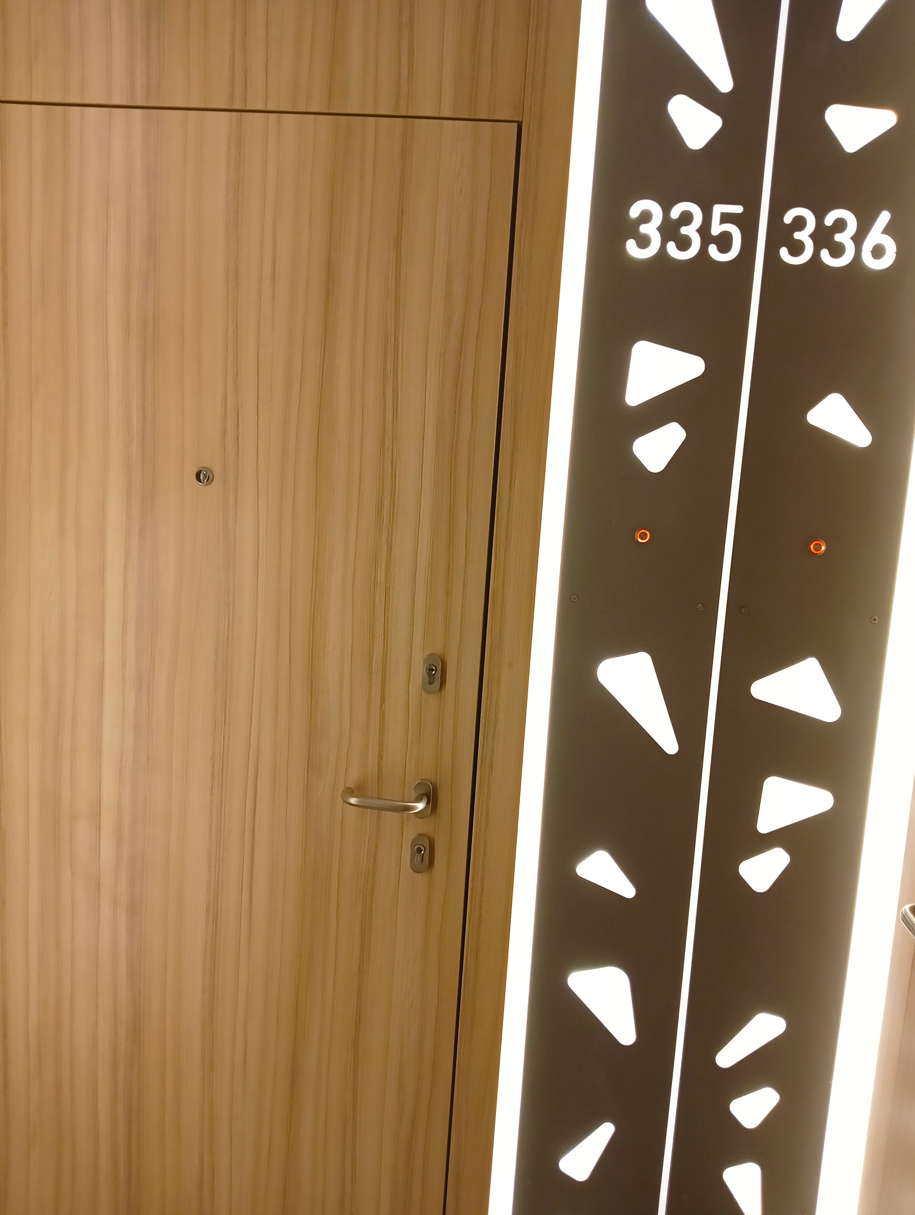 Фото Белый Клевер