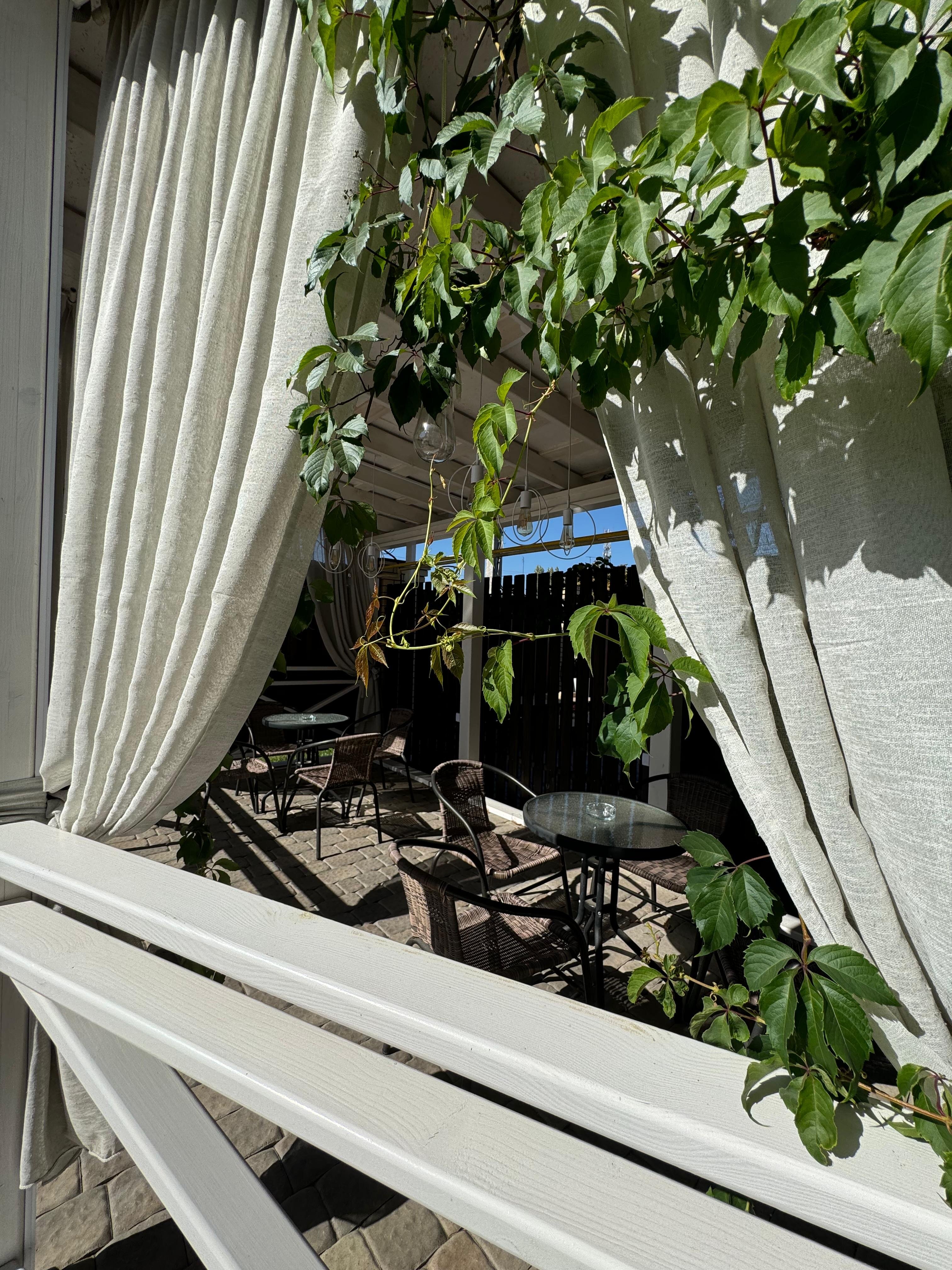 Фото Прованс