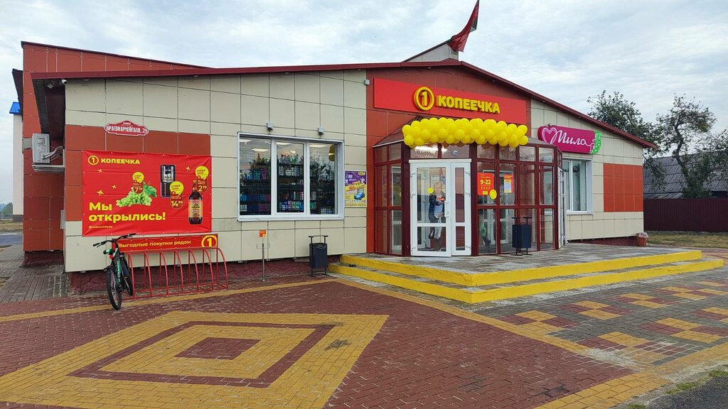 Grocery Kopeechka, Gomel District, photo