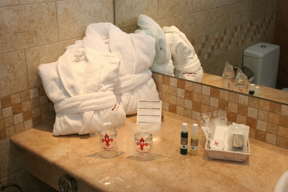 Фото Hotel SPA Termes Carlemany