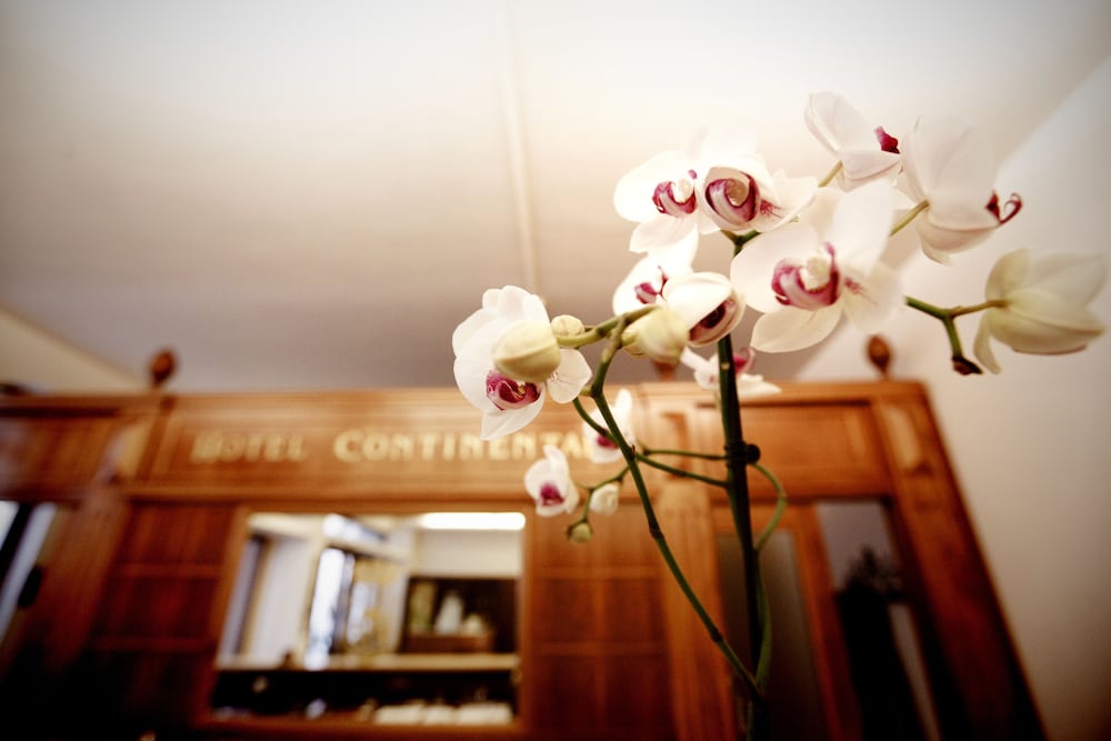 Фото Hotel Continental