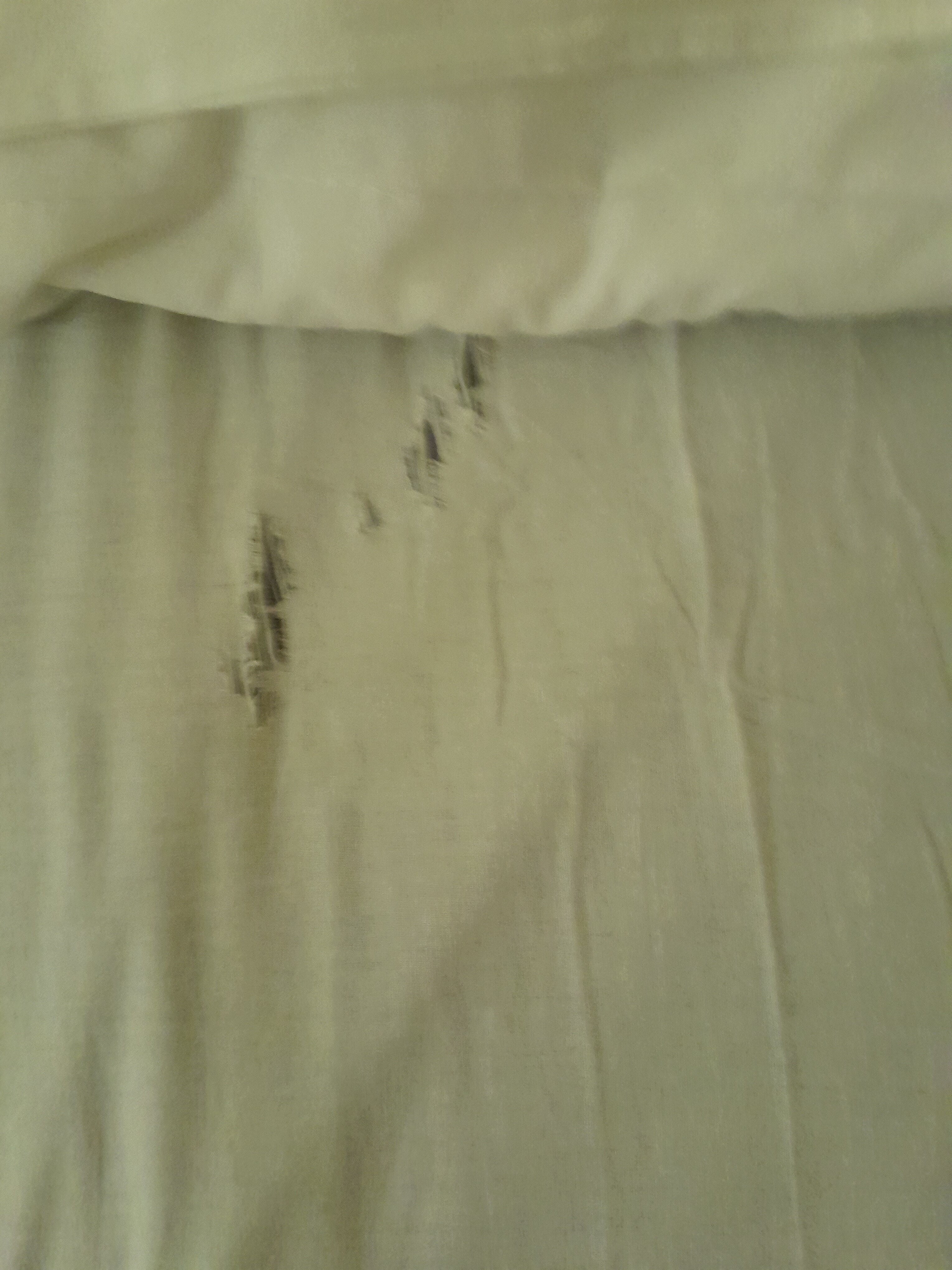 Фото Мини Мани