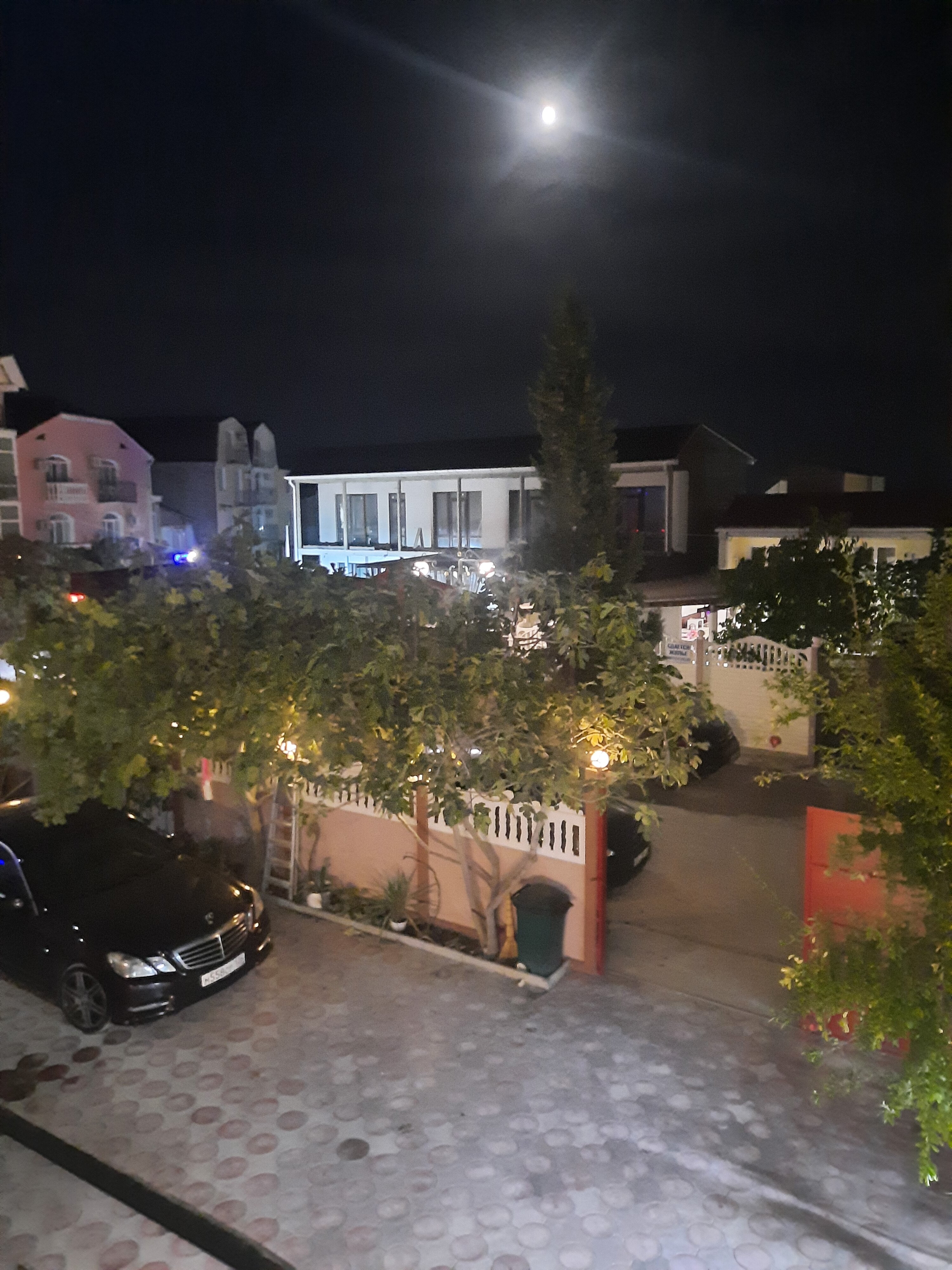 Фото Four sisters